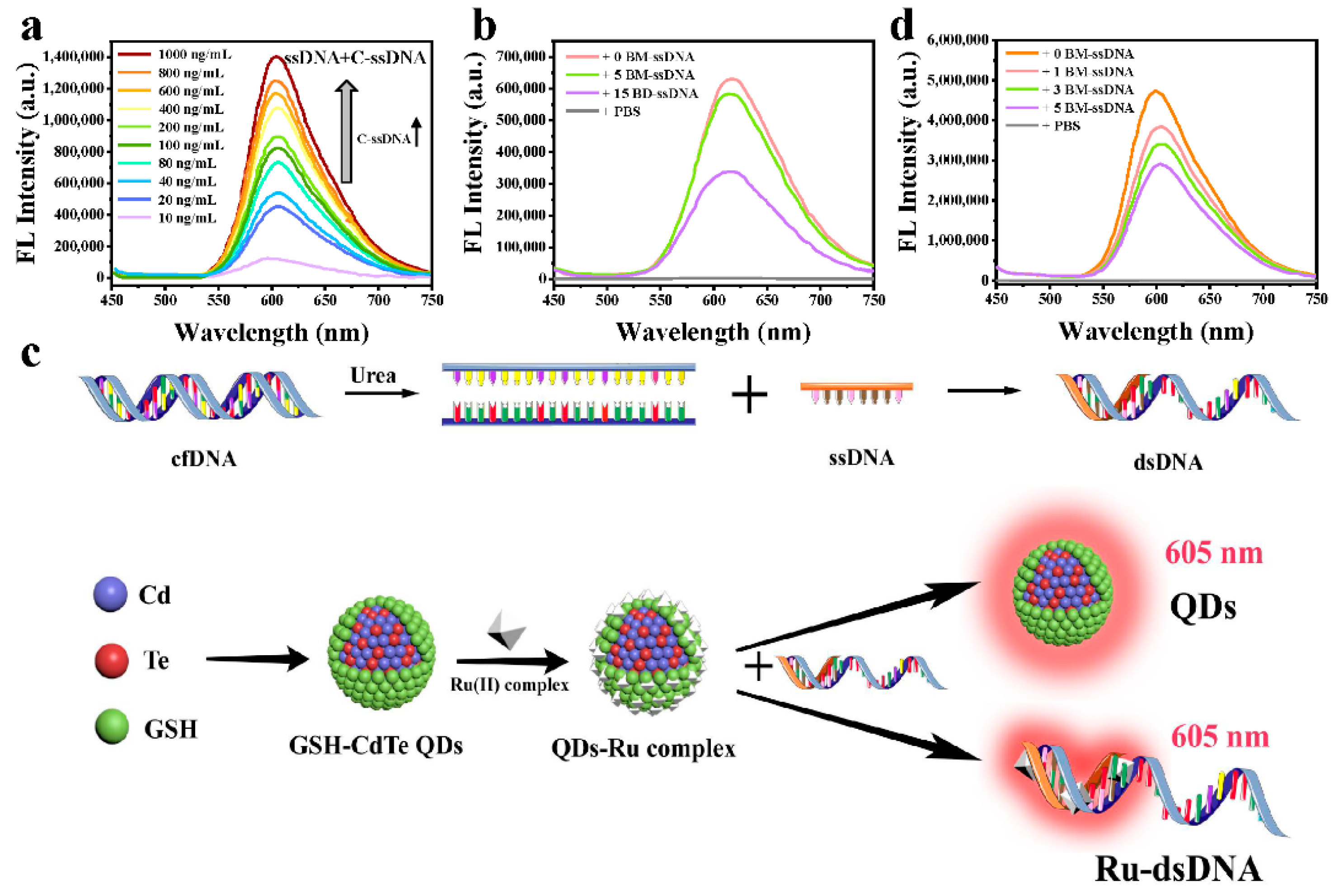 Nanomaterials 12 01262 g004