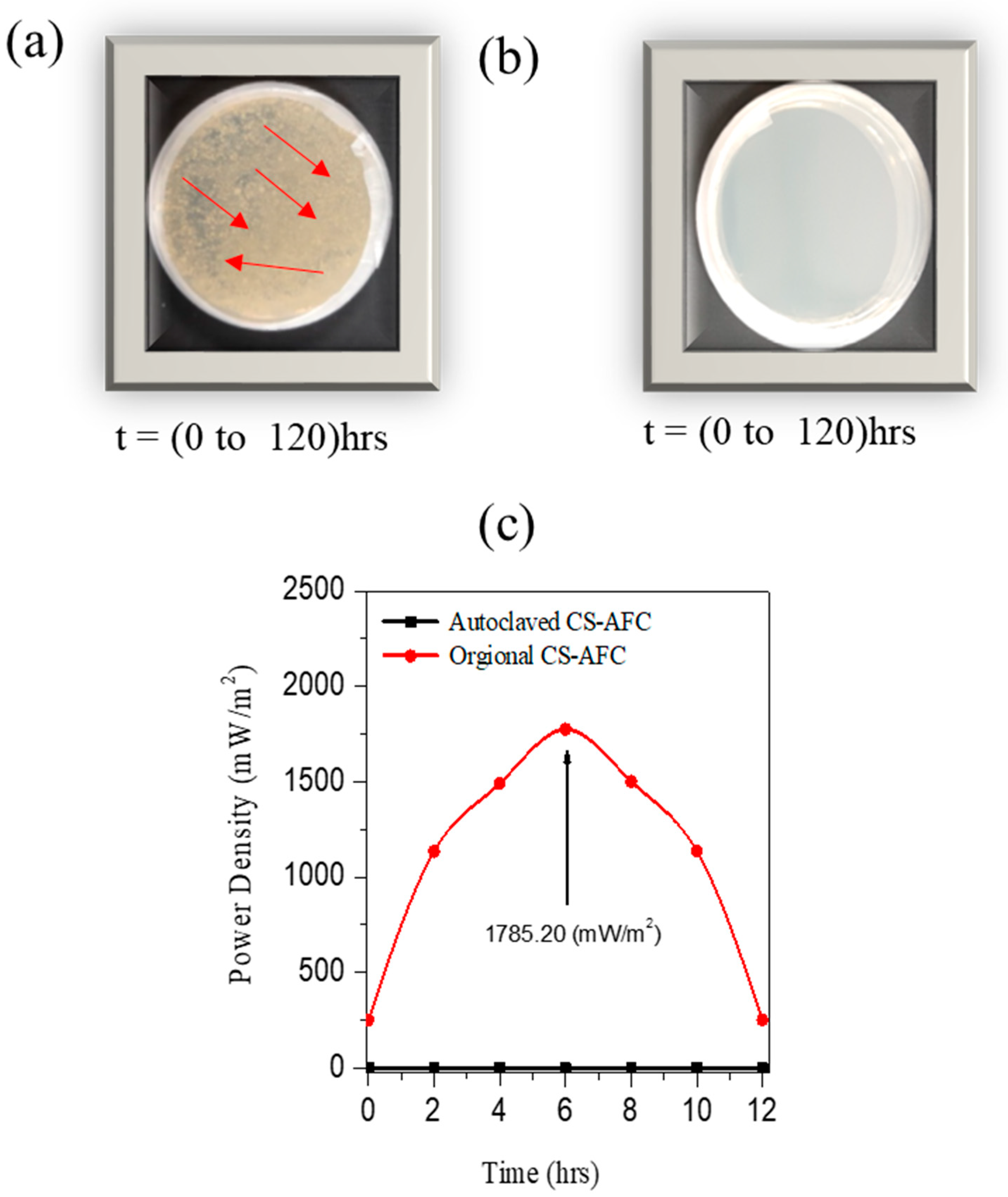 Nanomaterials 12 01281 g006