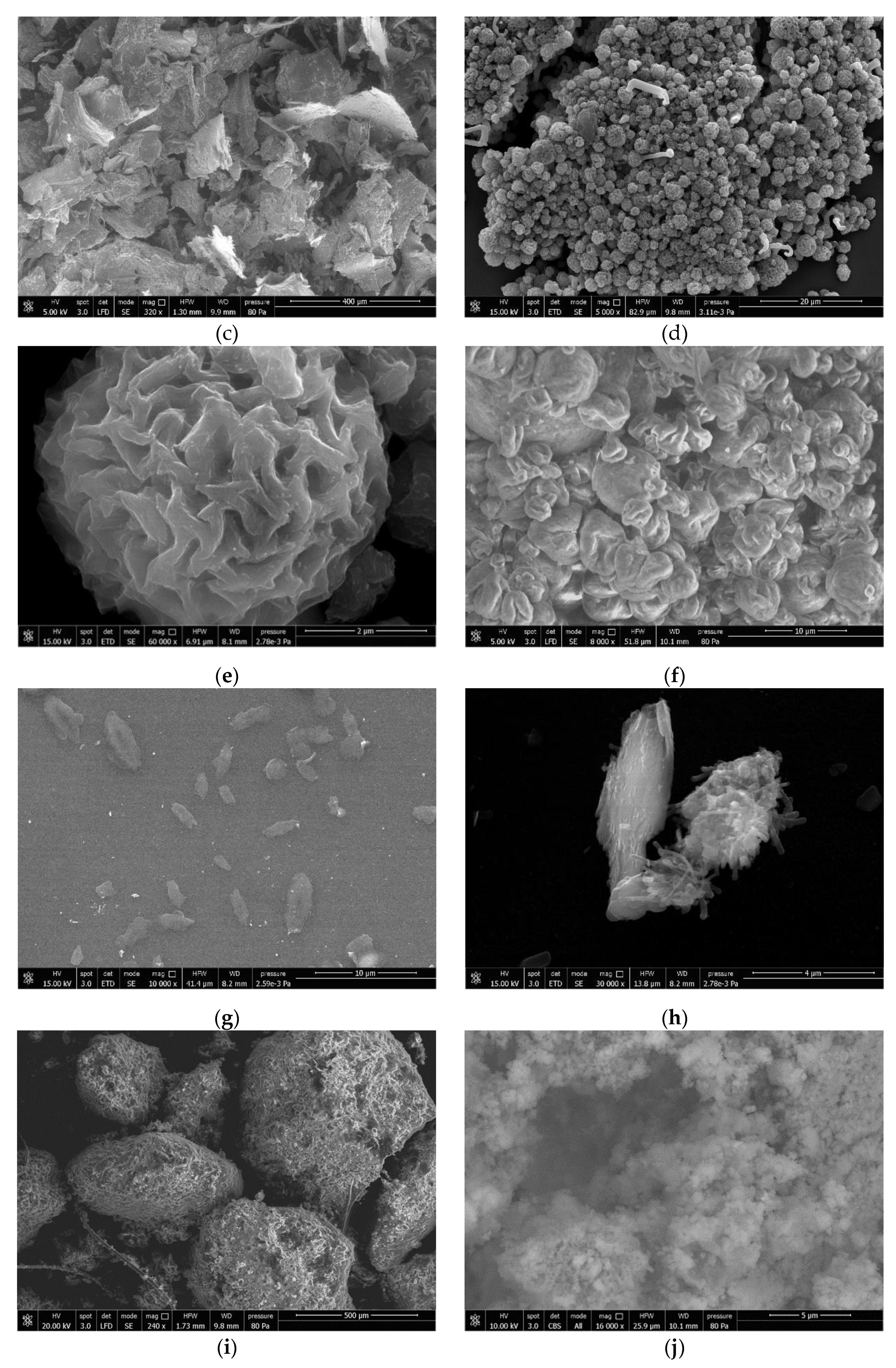 Nanomaterials 12 01295 g004b