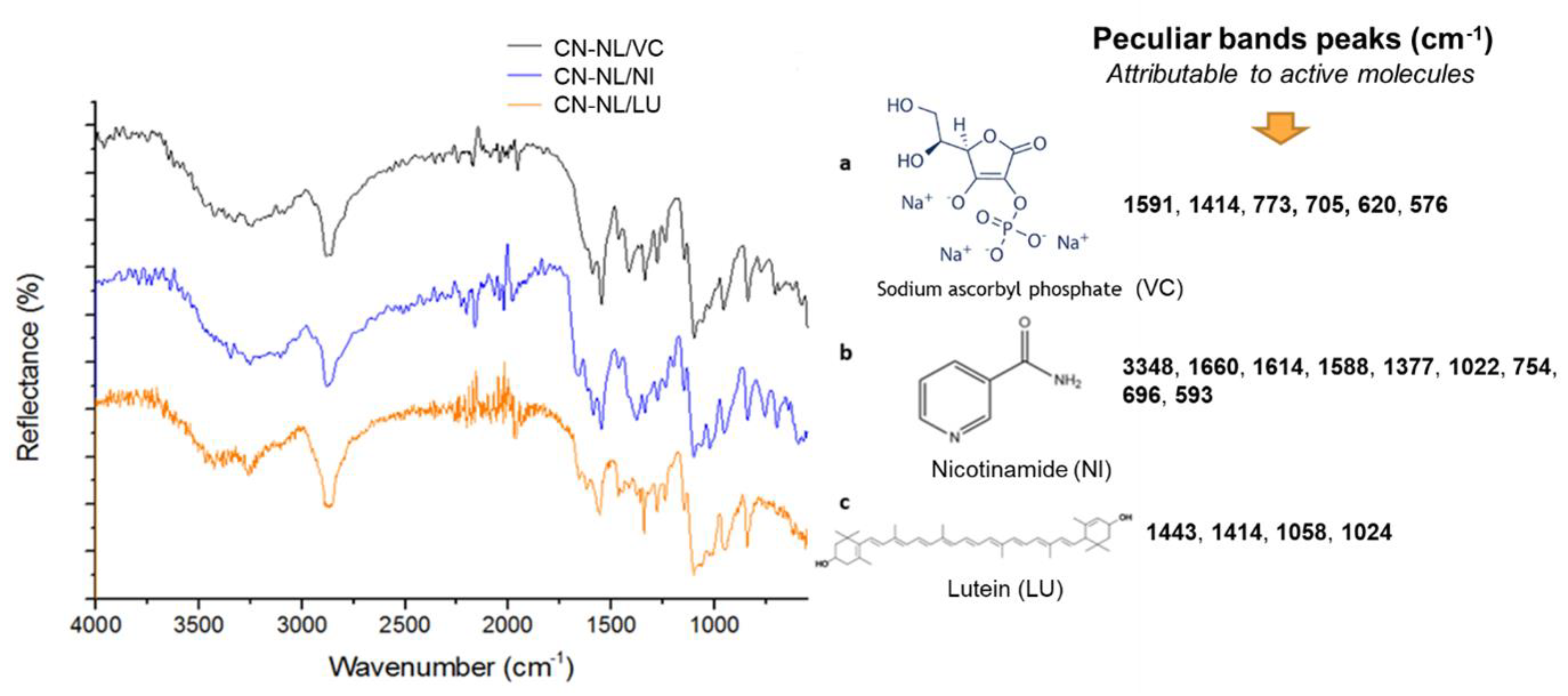 Nanomaterials 12 01295 g006