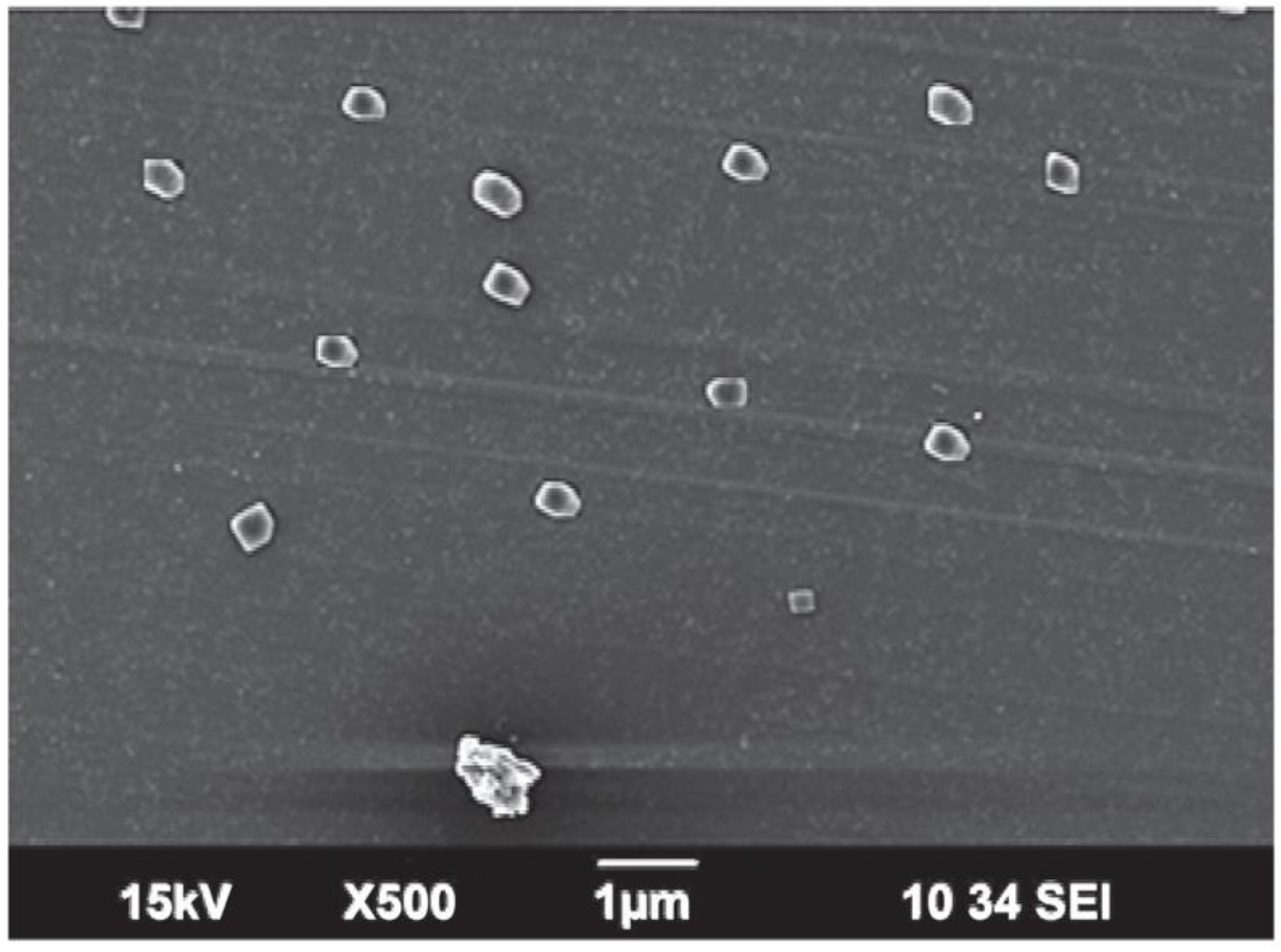 Nanomaterials 12 01299 g004