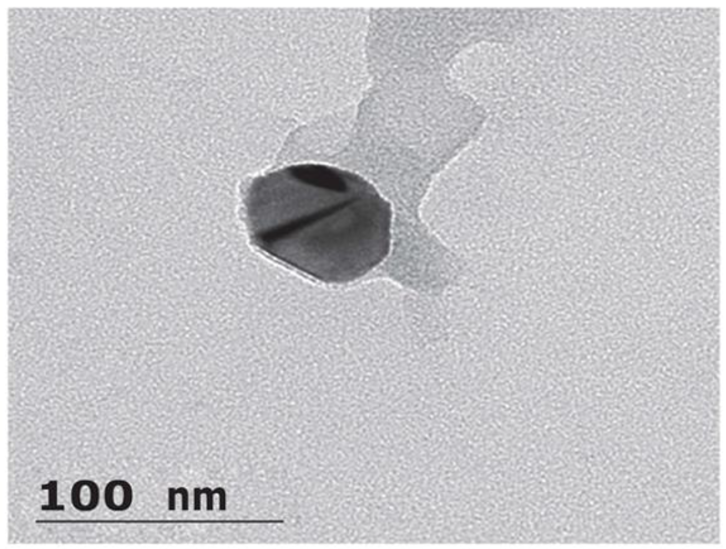 Nanomaterials 12 01299 g005