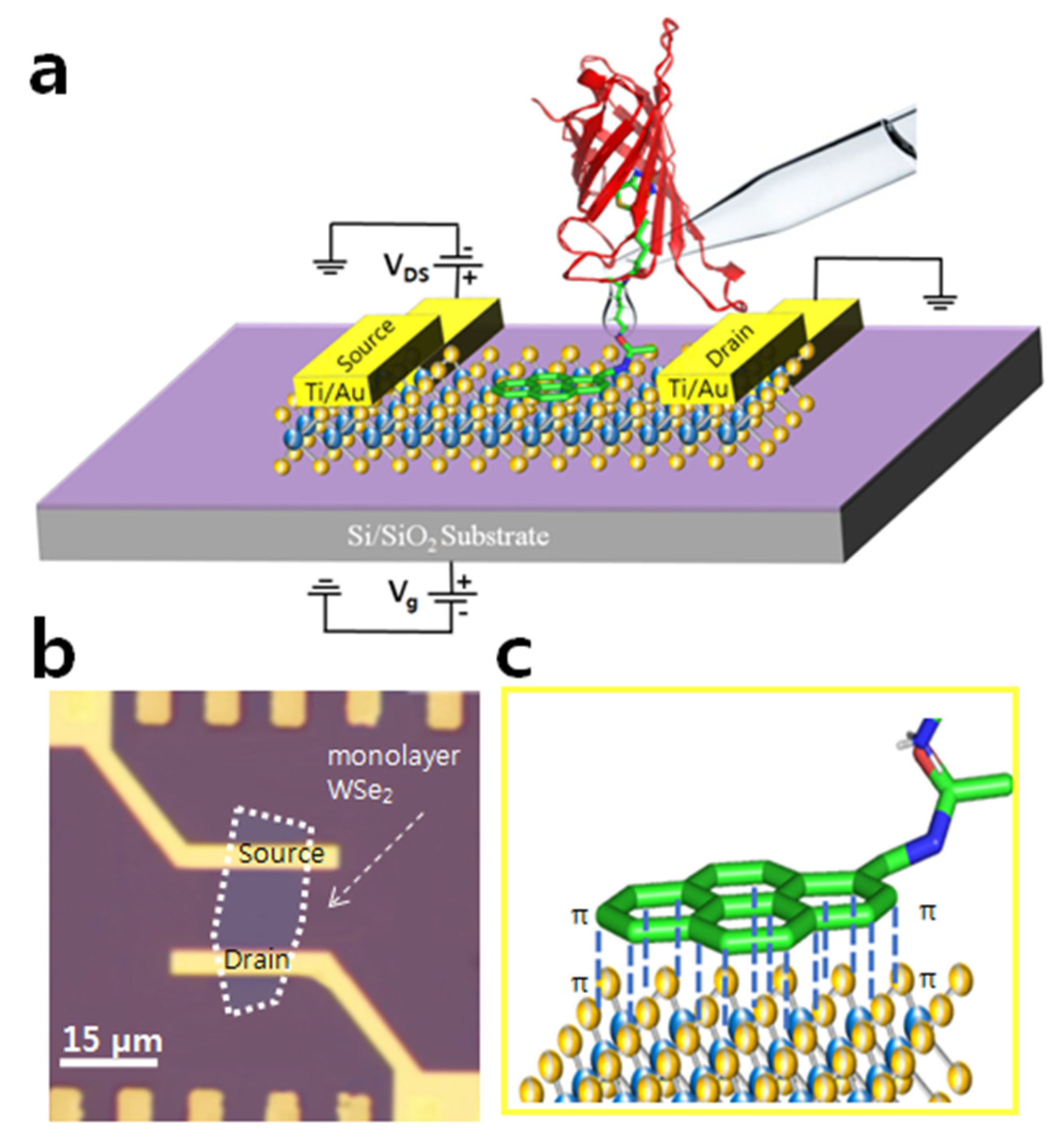 Nanomaterials 12 01305 g001