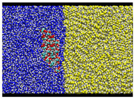 Nanomaterials 12 01321 i005