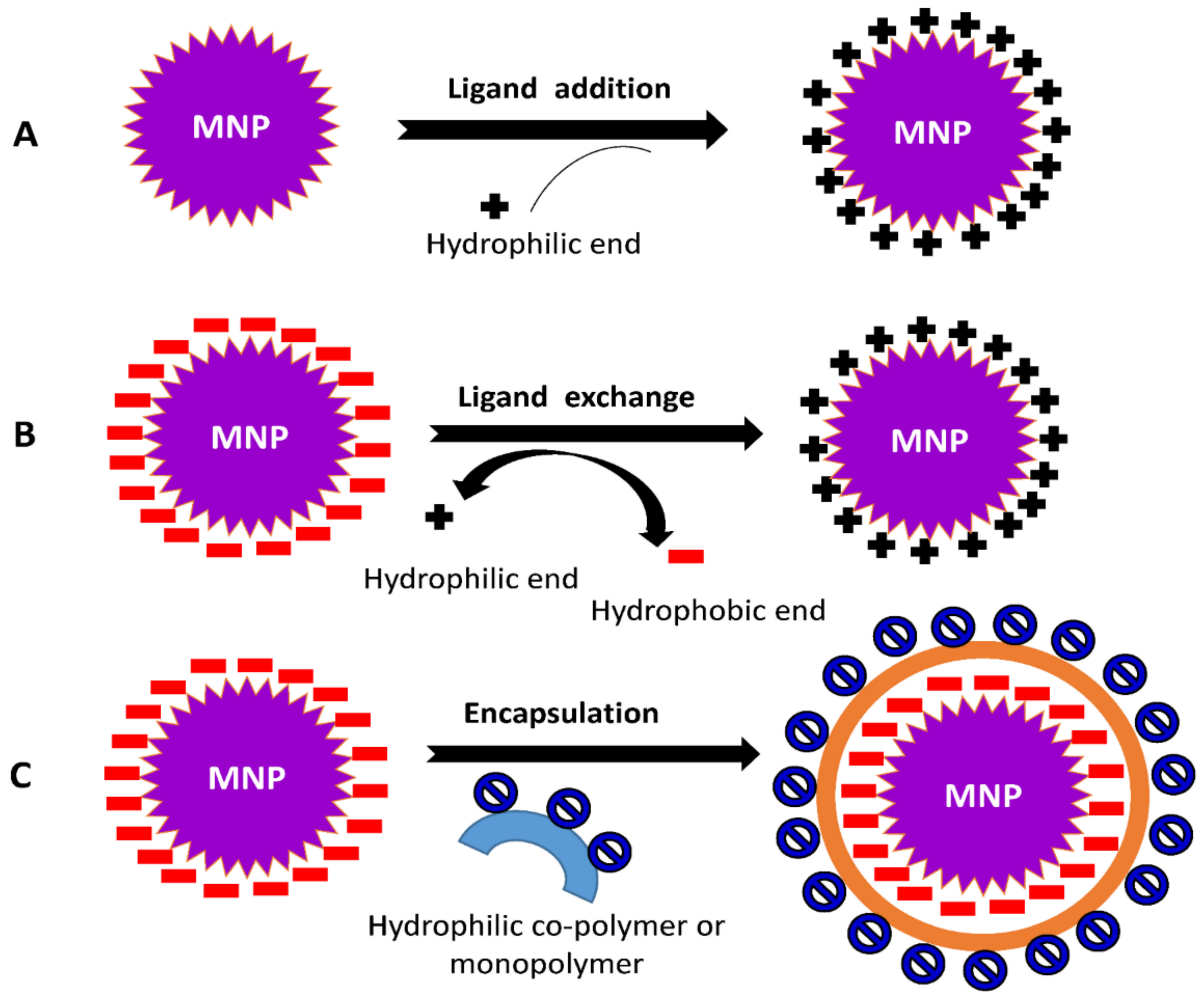 Nanomaterials 12 01333 g004