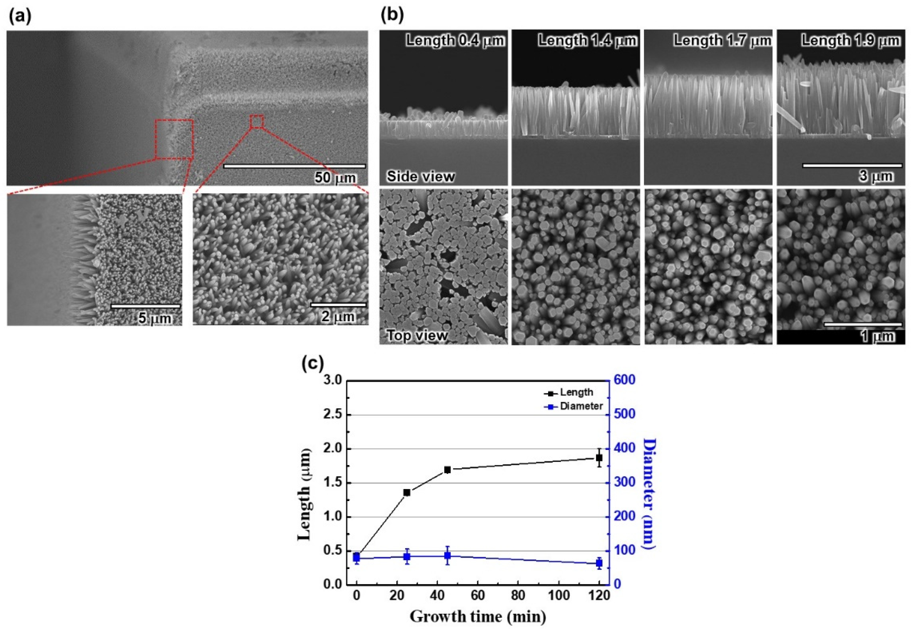 Nanomaterials 12 01342 g003 Nanomaterials 12 01342 g003
