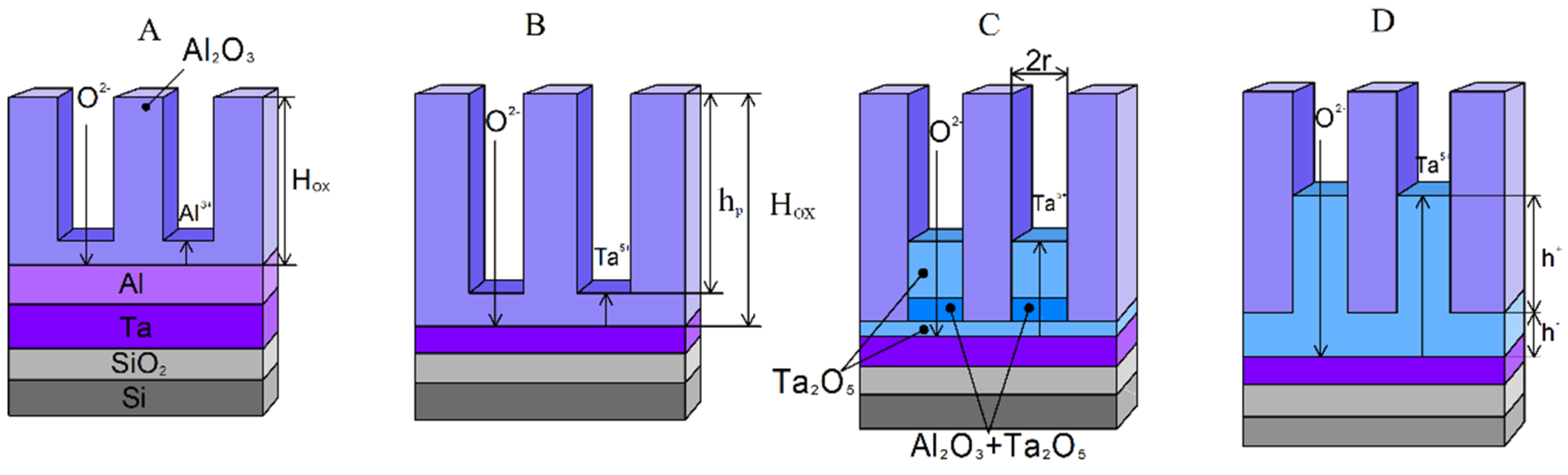 Nanomaterials 12 01344 g002