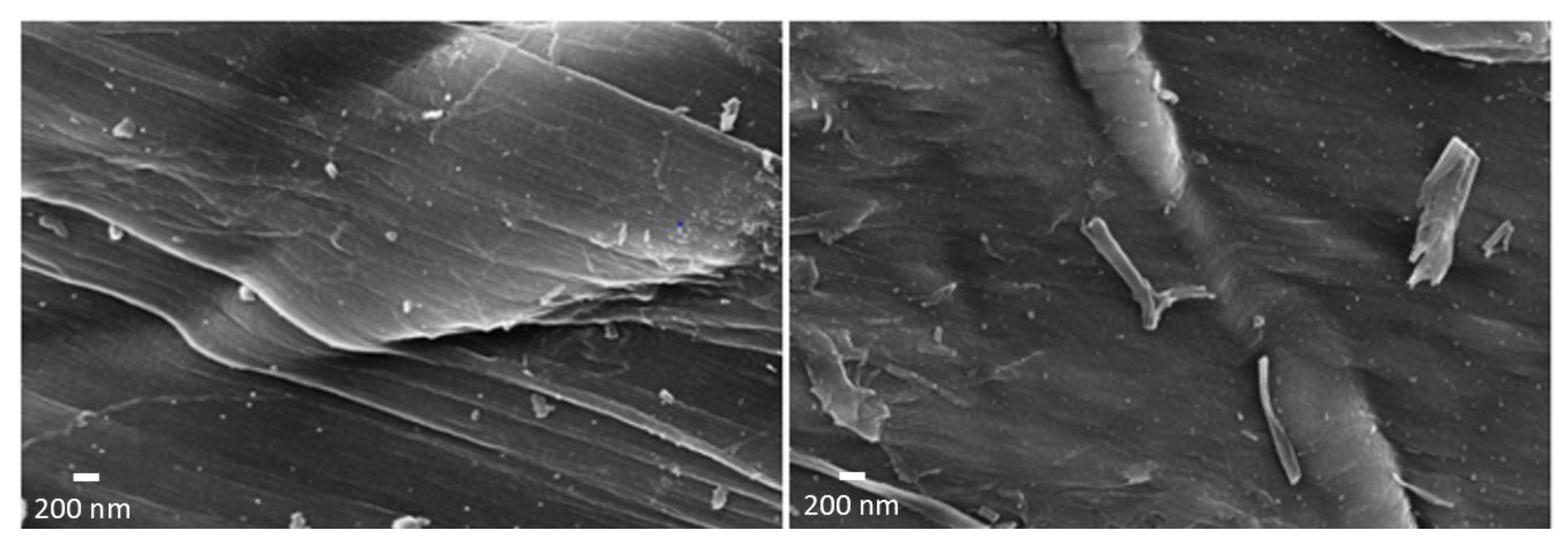 Nanomaterials 12 01349 g004
