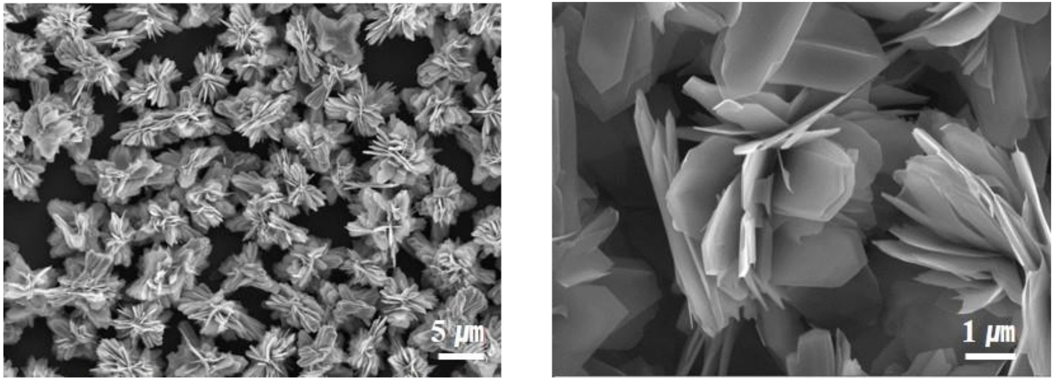 Nanomaterials 12 01351 g001
