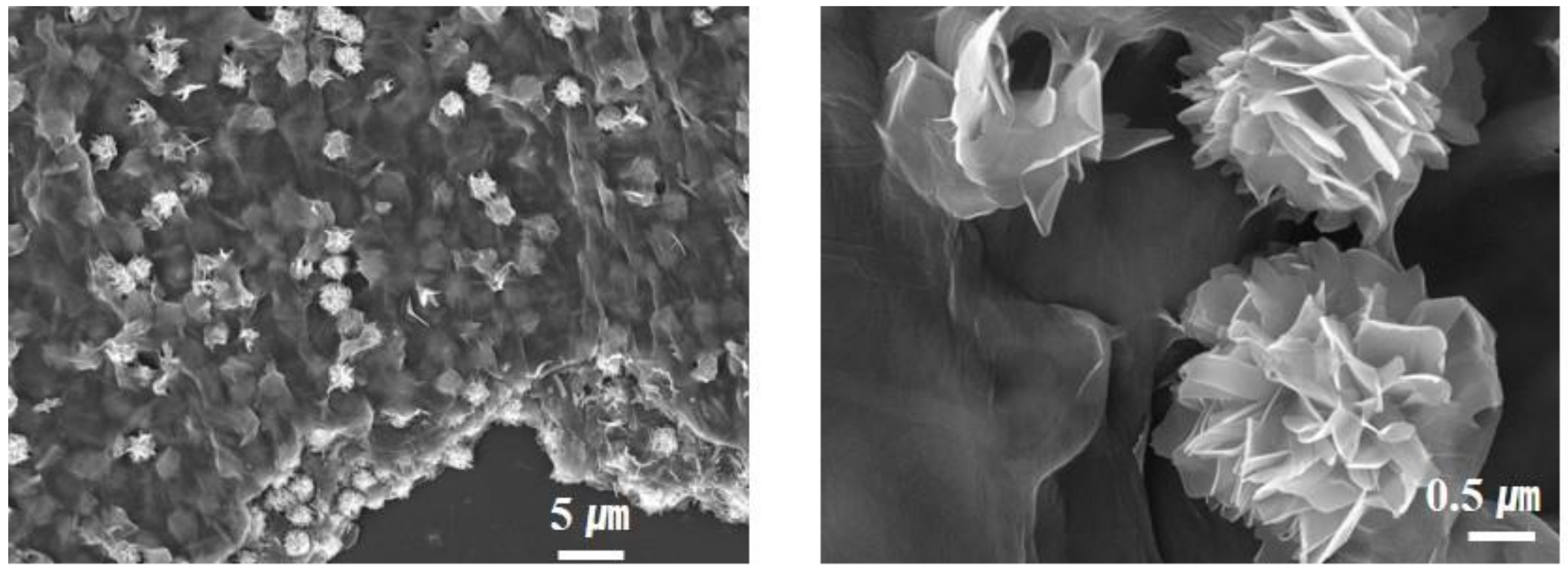 Nanomaterials 12 01351 g005