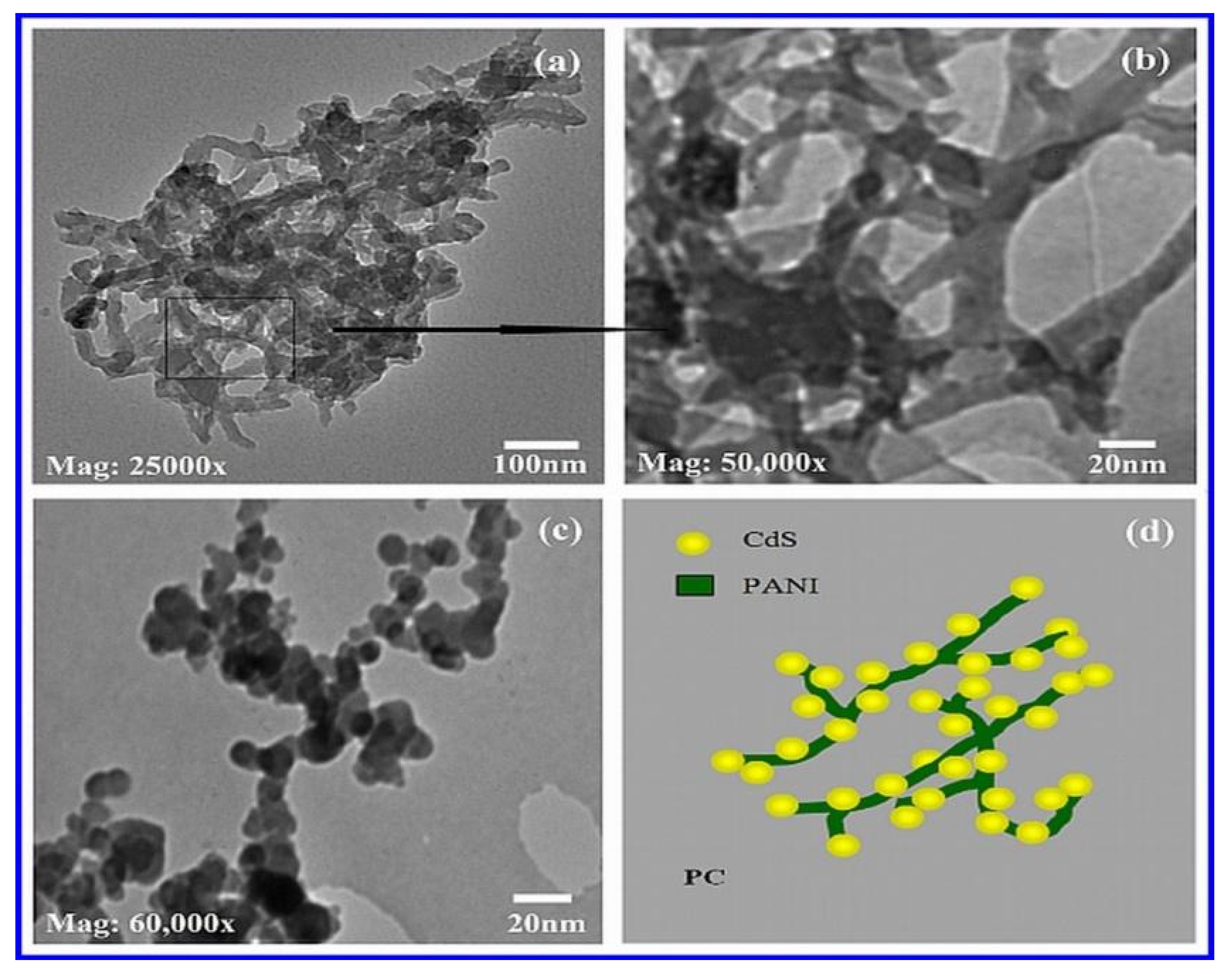 Nanomaterials 12 01355 g004