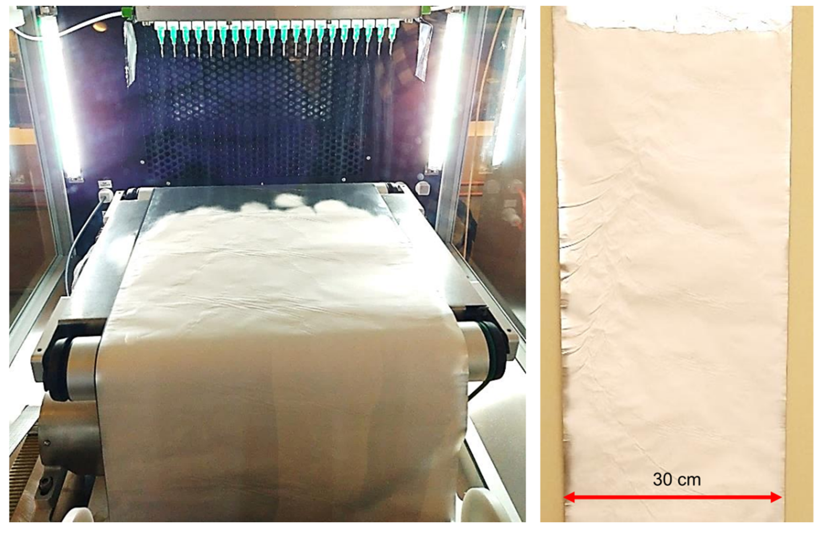 Nanomaterials 12 01356 g008