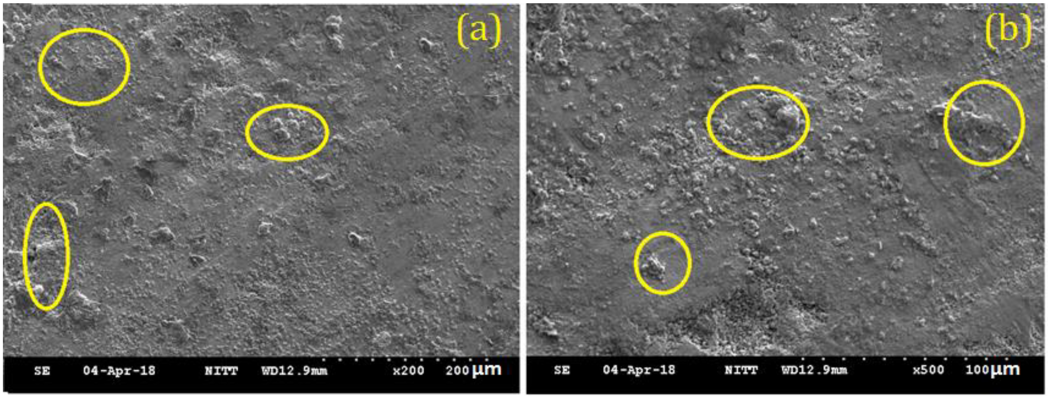 Nanomaterials 12 01357 g002