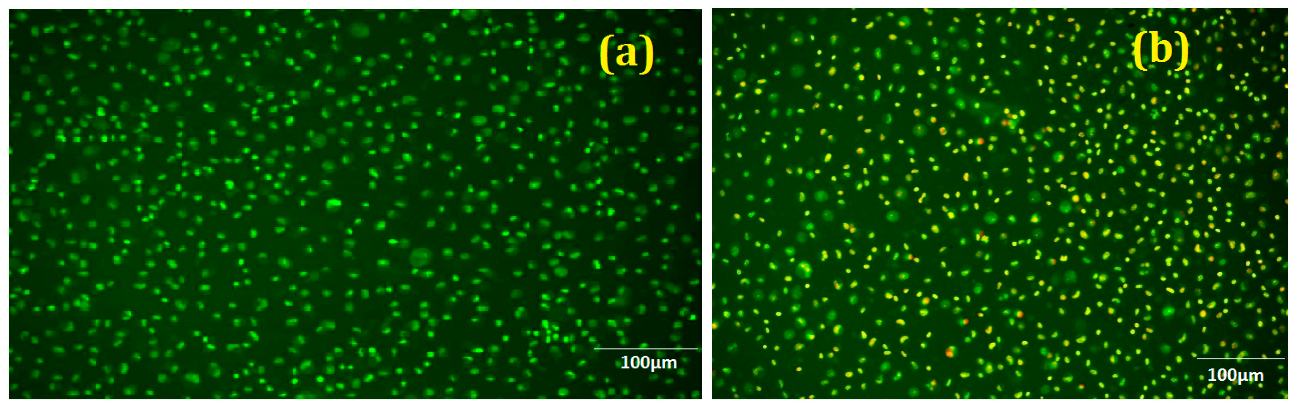 Nanomaterials 12 01357 g009
