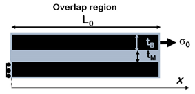 Nanomaterials 12 01359 i005