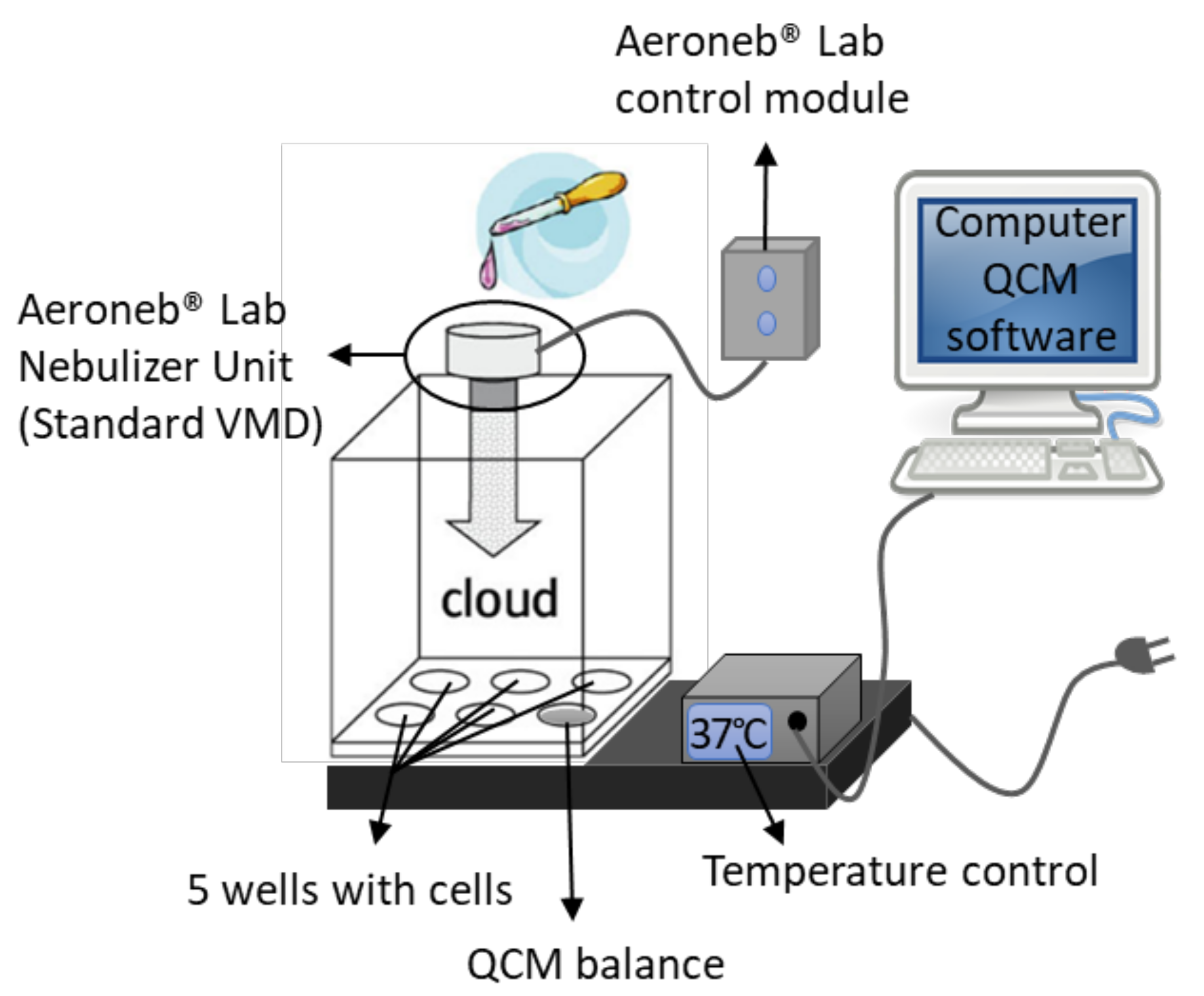 Nanomaterials 12 01362 g001