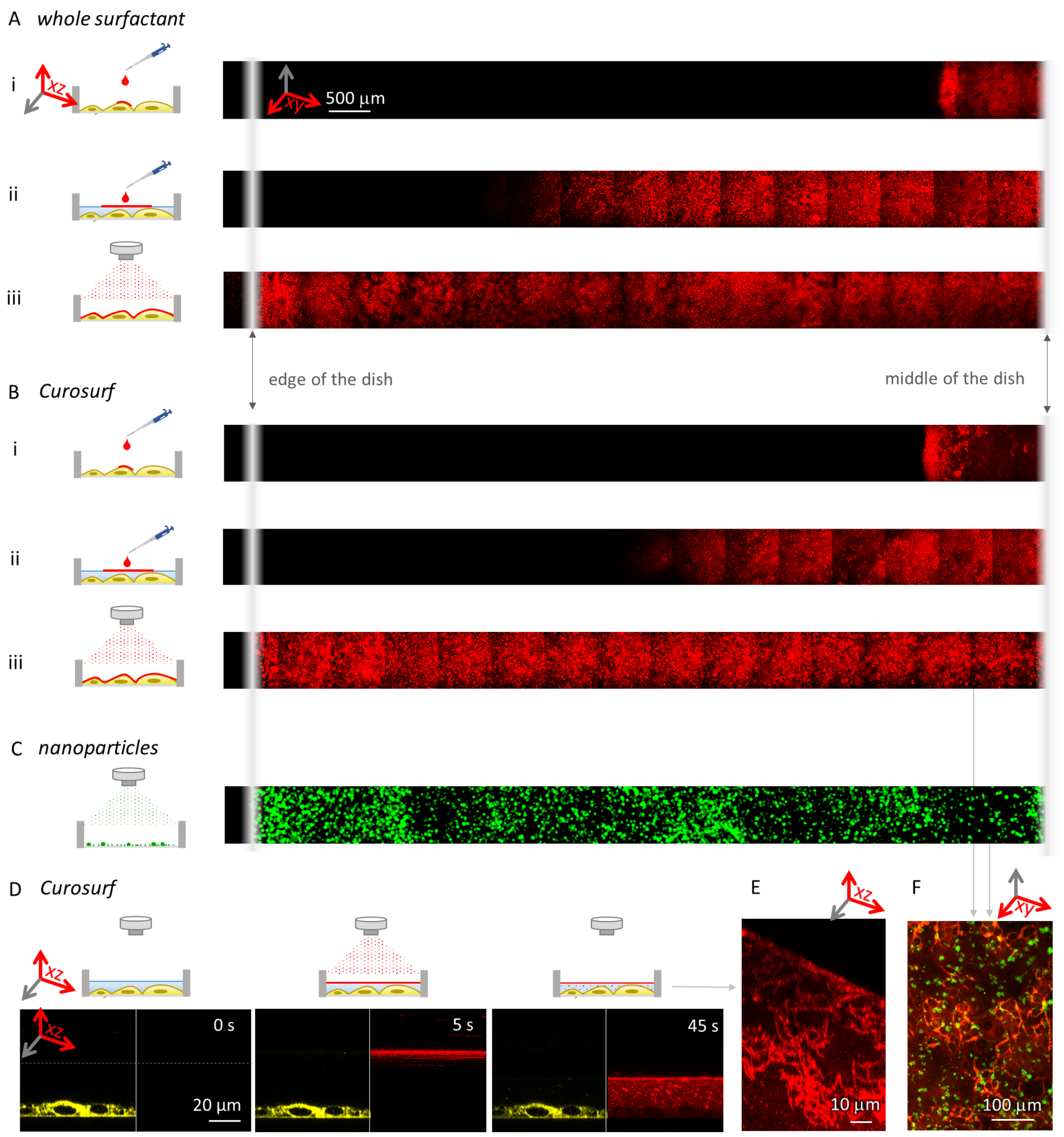 Nanomaterials 12 01362 g003