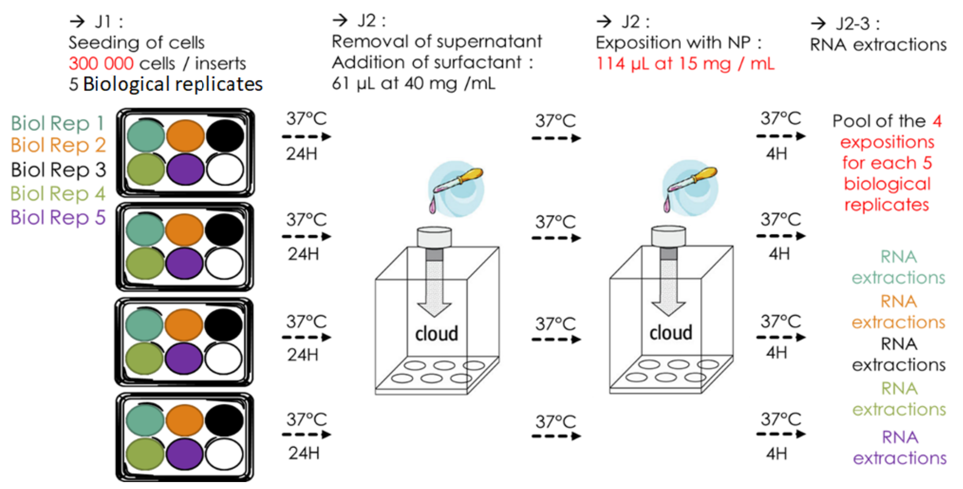 Nanomaterials 12 01362 g005