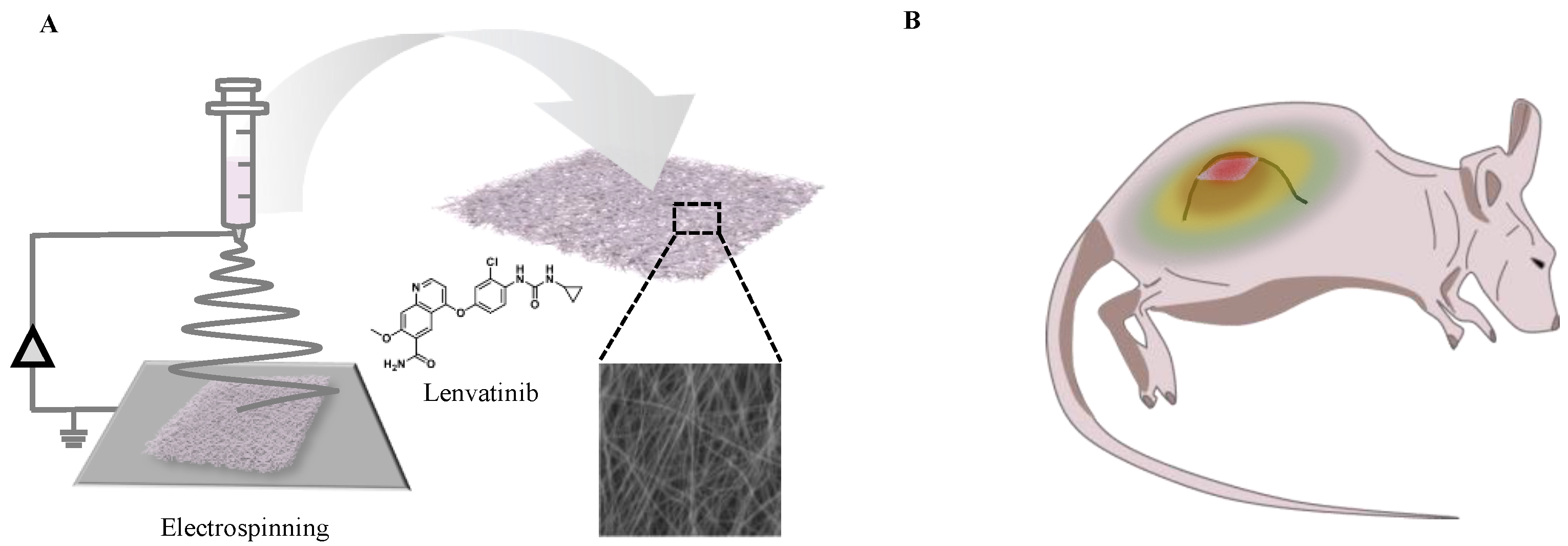 Nanomaterials 12 01364 g001