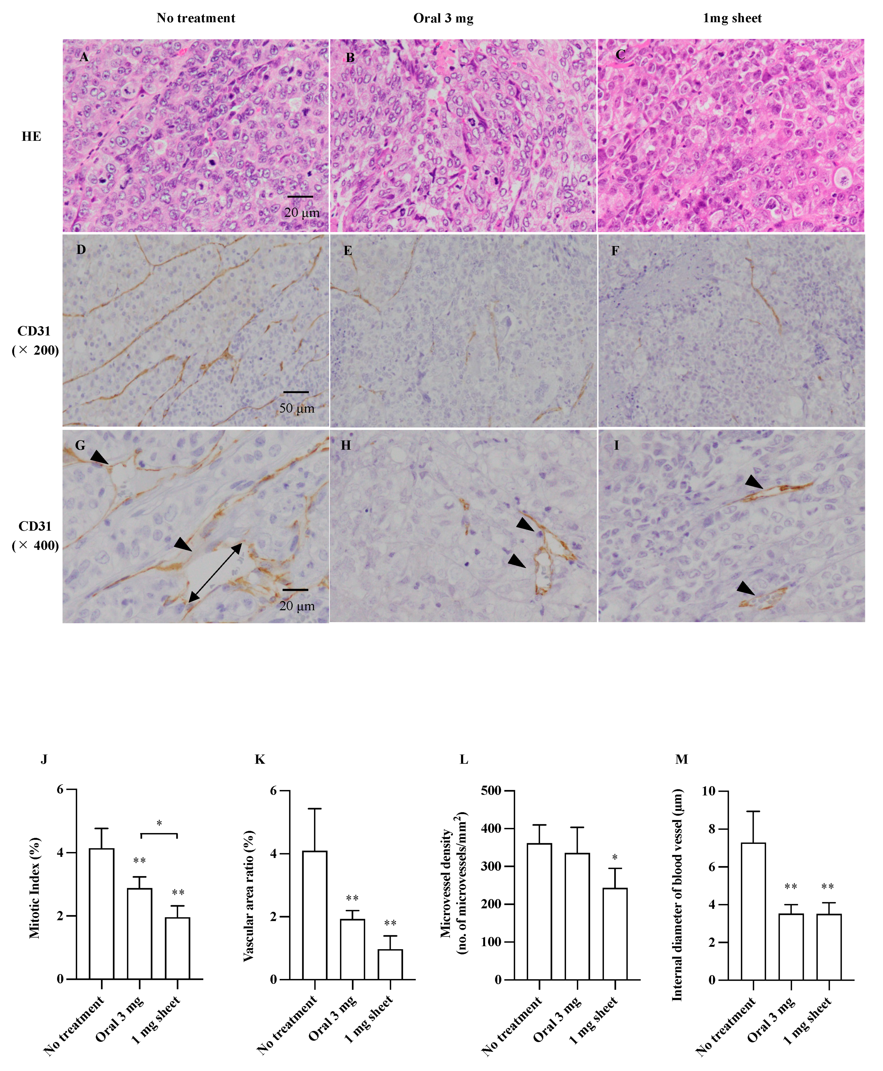 Nanomaterials 12 01364 g004