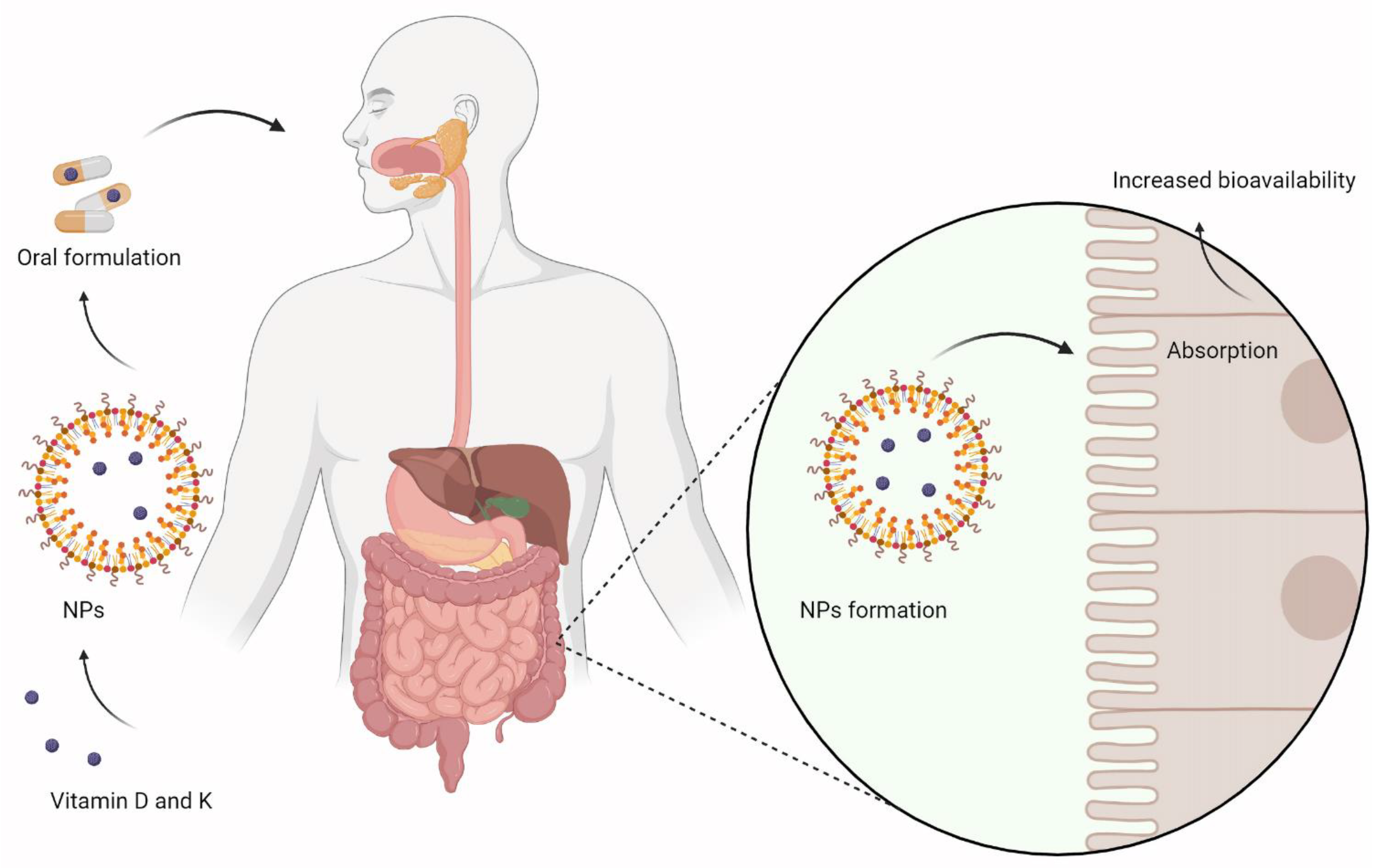 Nanomaterials 12 01376 g003 Nanomaterials 12 01376 g003