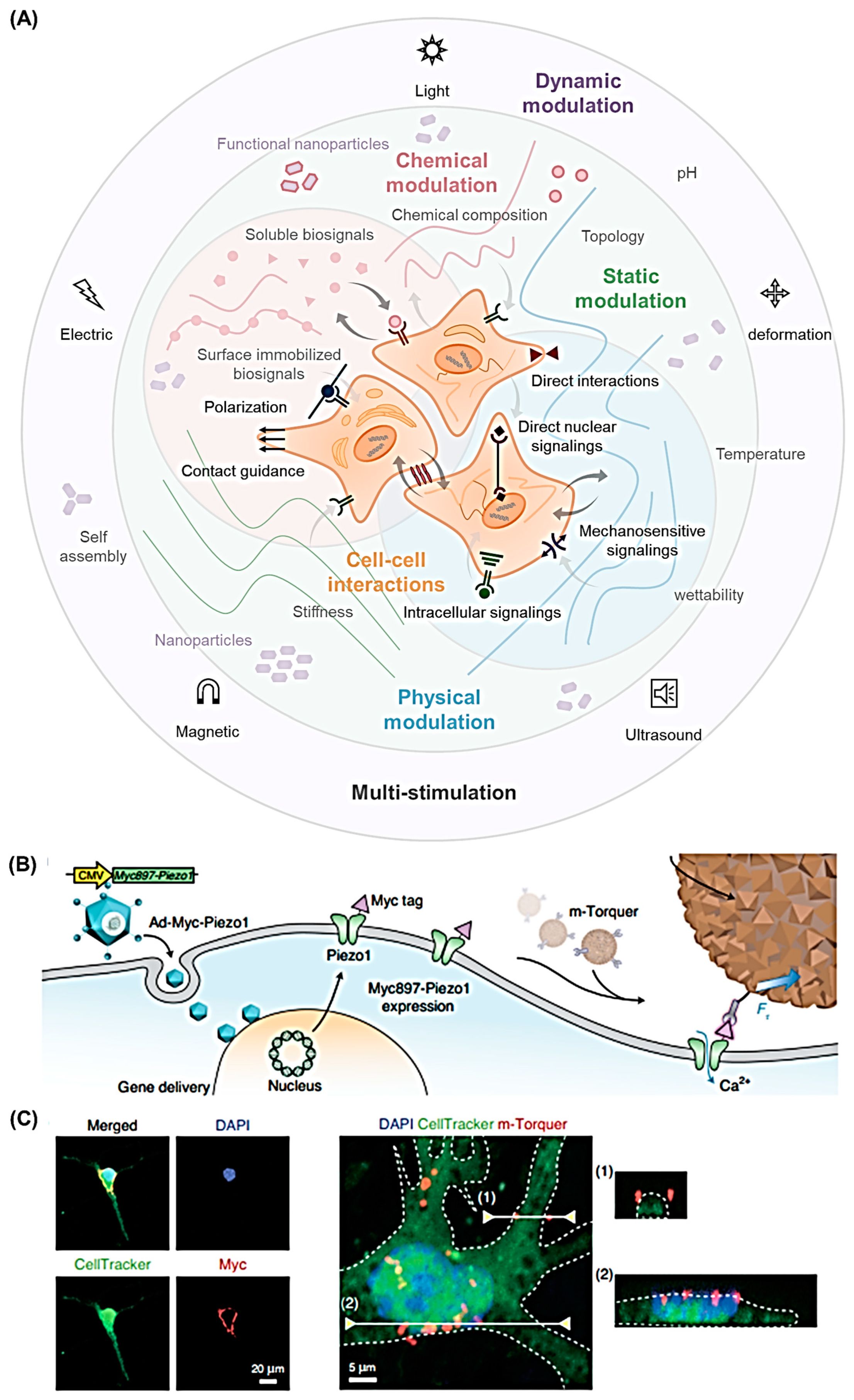 Nanomaterials 12 01377 g003
