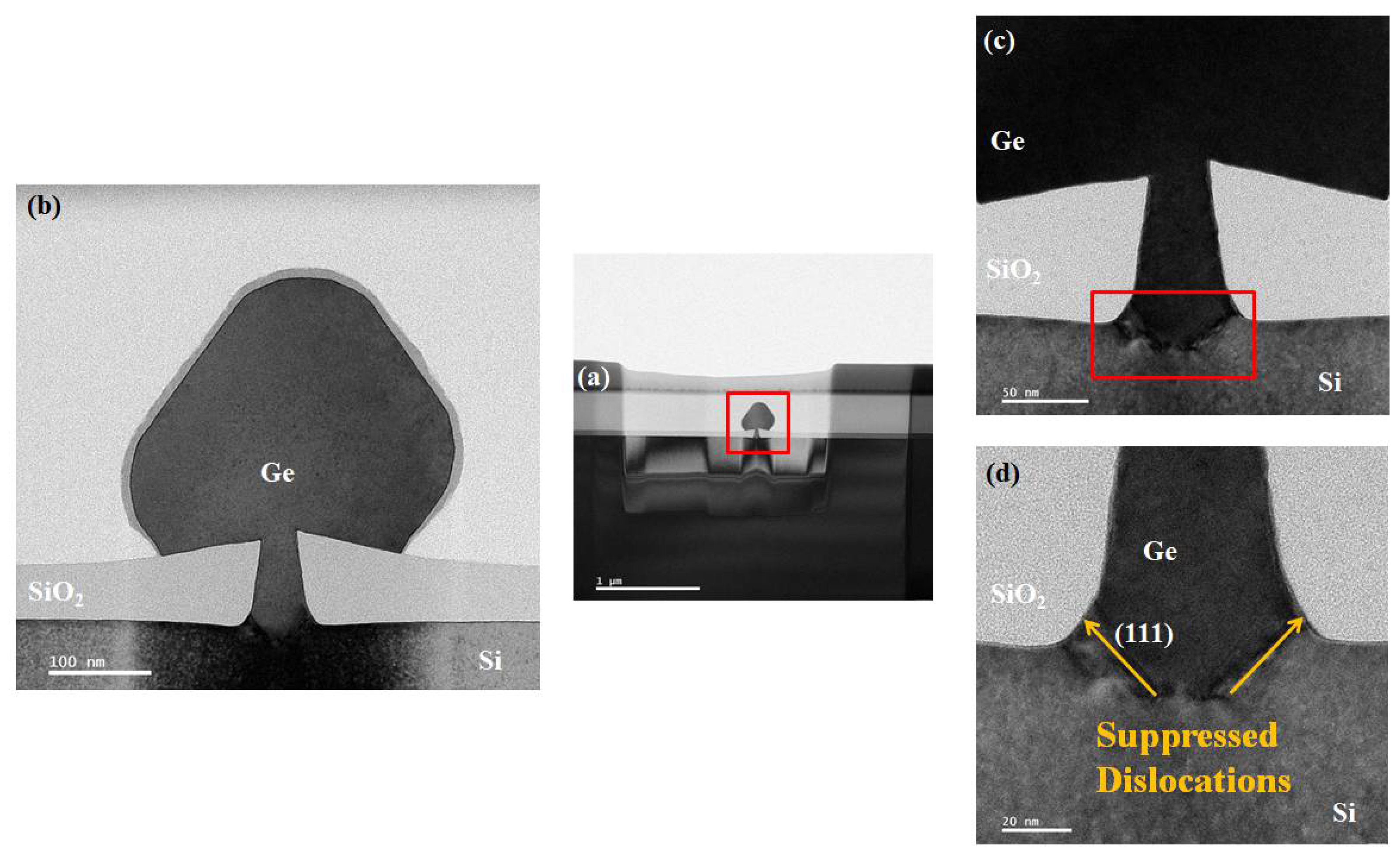 Nanomaterials 12 01403 g009