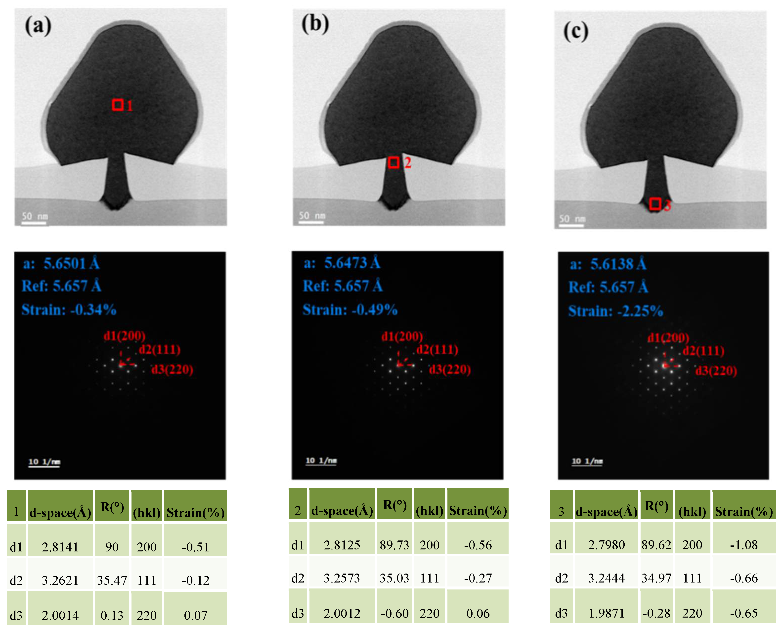 Nanomaterials 12 01403 g010