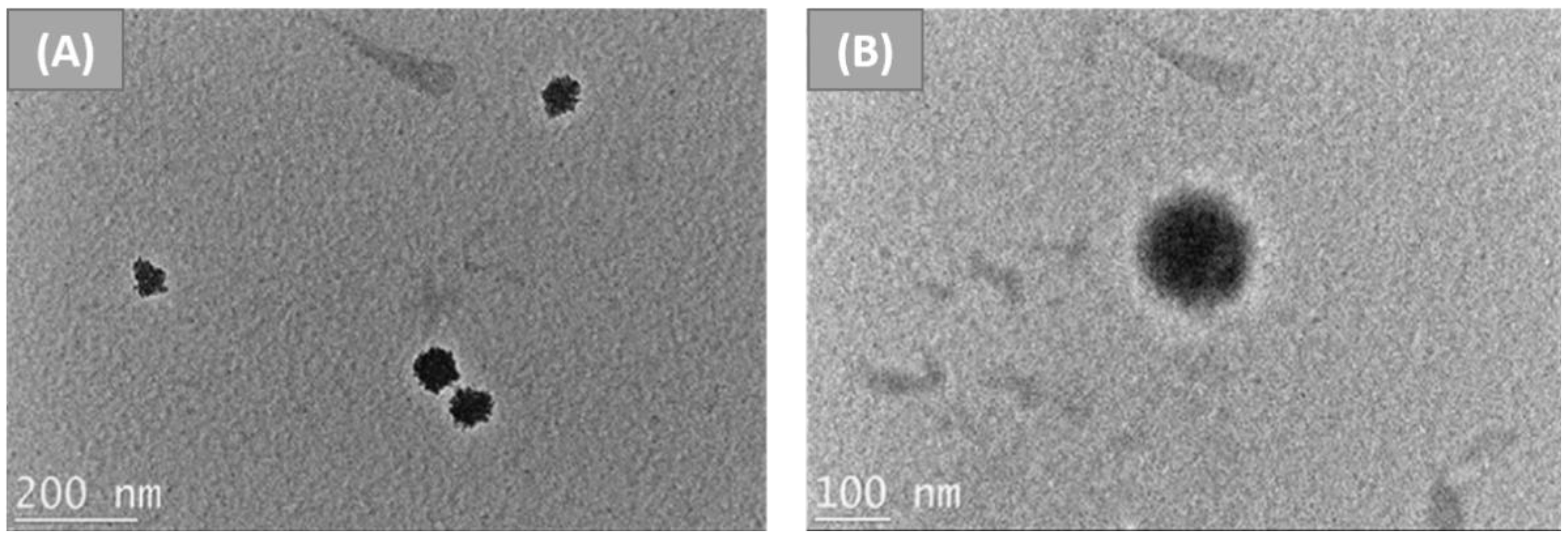 Nanomaterials 12 01406 g004