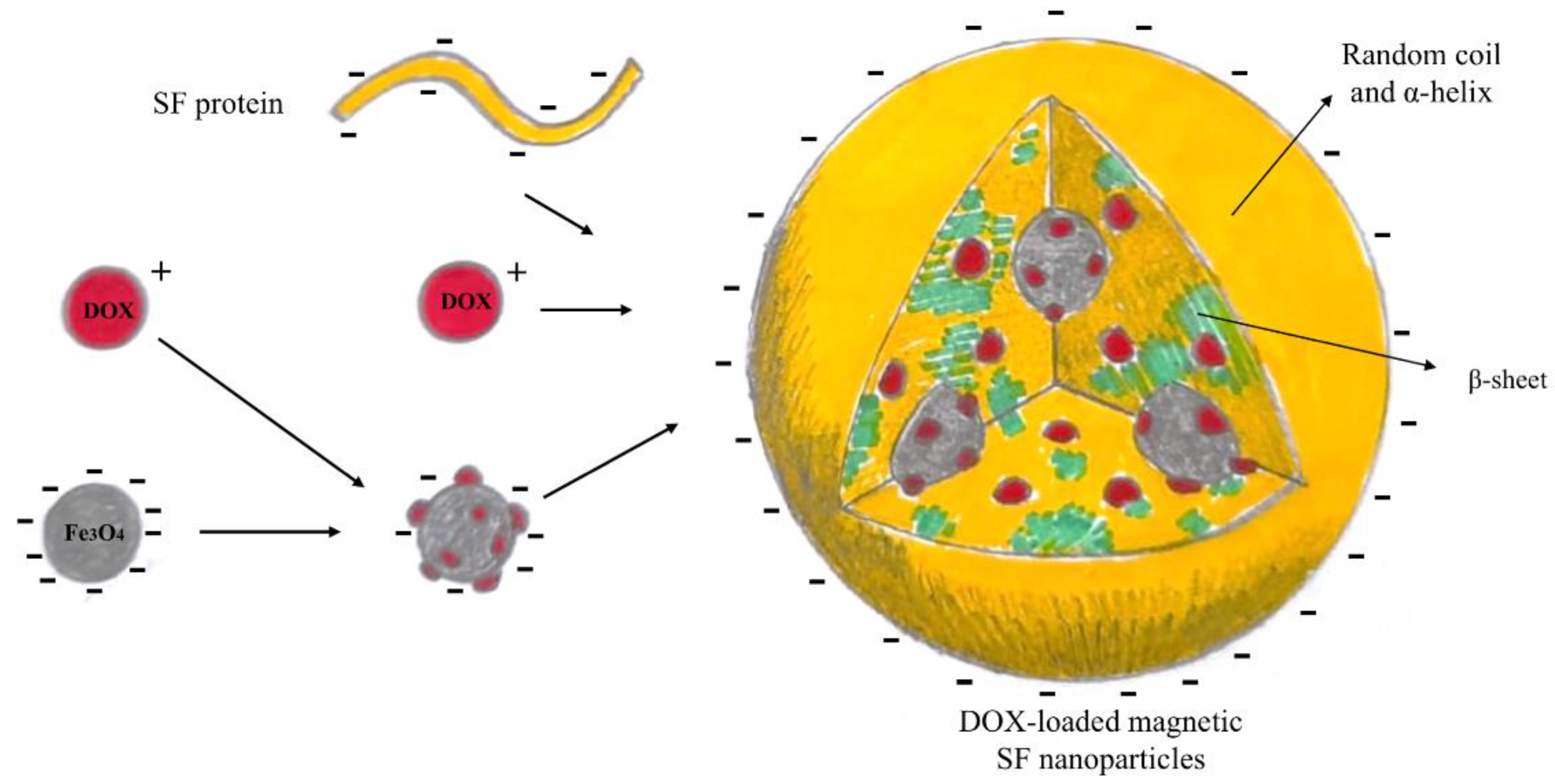 Nanomaterials 12 01406 g010