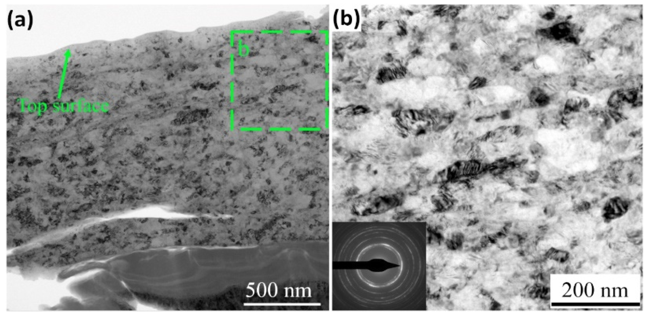 Nanomaterials 12 01415 g005