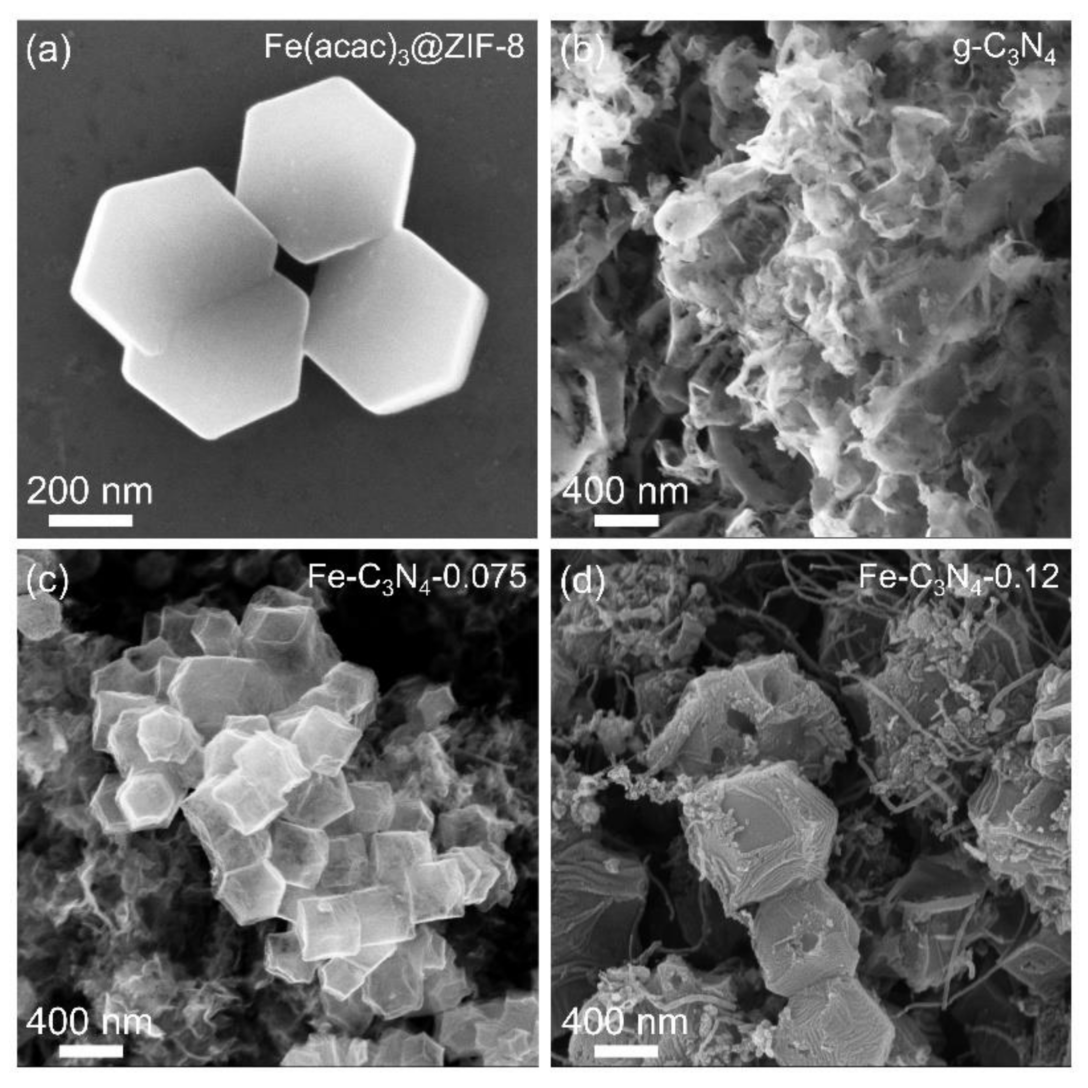 Nanomaterials 12 01416 g001