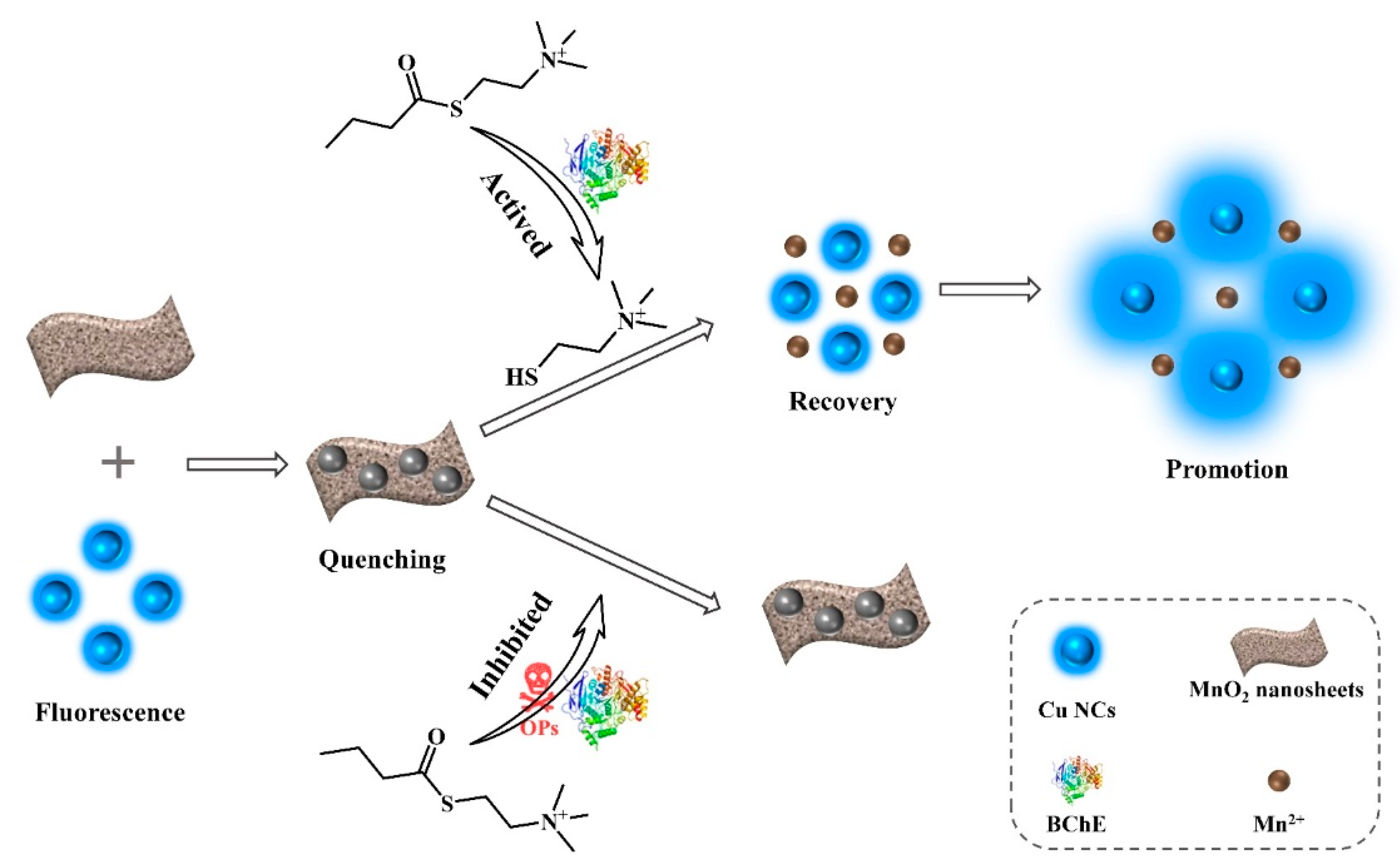 Nanomaterials 12 01429 g001 Nanomaterials 12 01429 g001