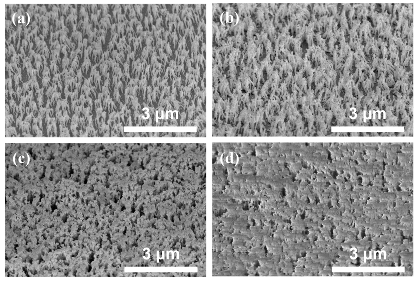 Nanomaterials 12 01430 g005