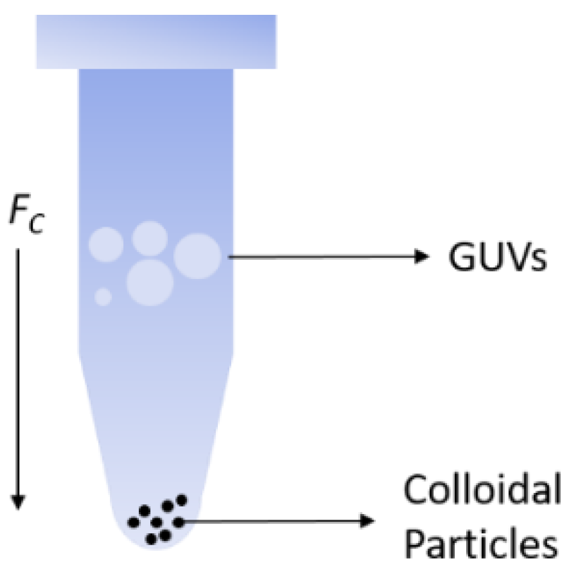 Nanomaterials 12 01434 g001