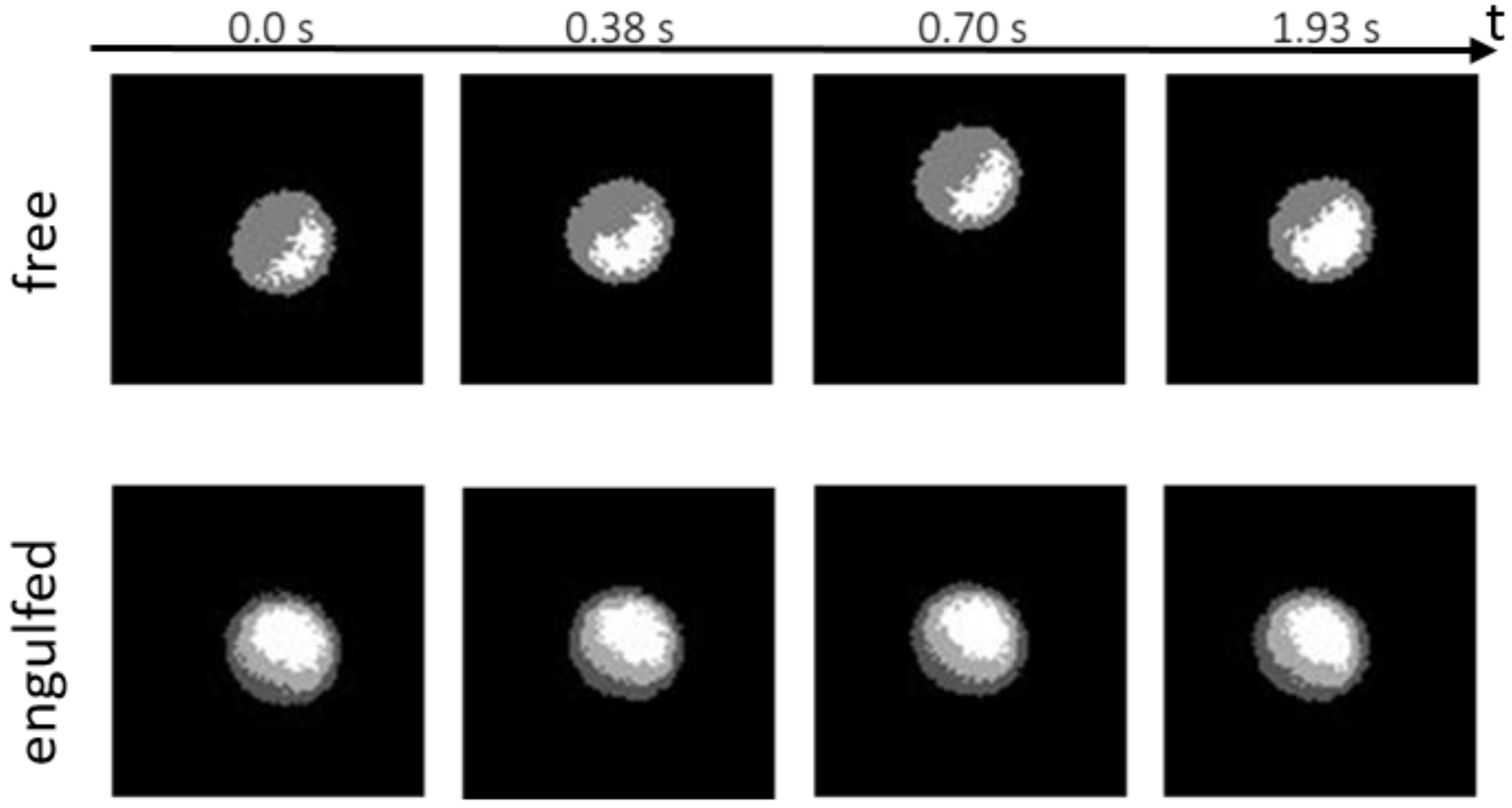 Nanomaterials 12 01434 g005