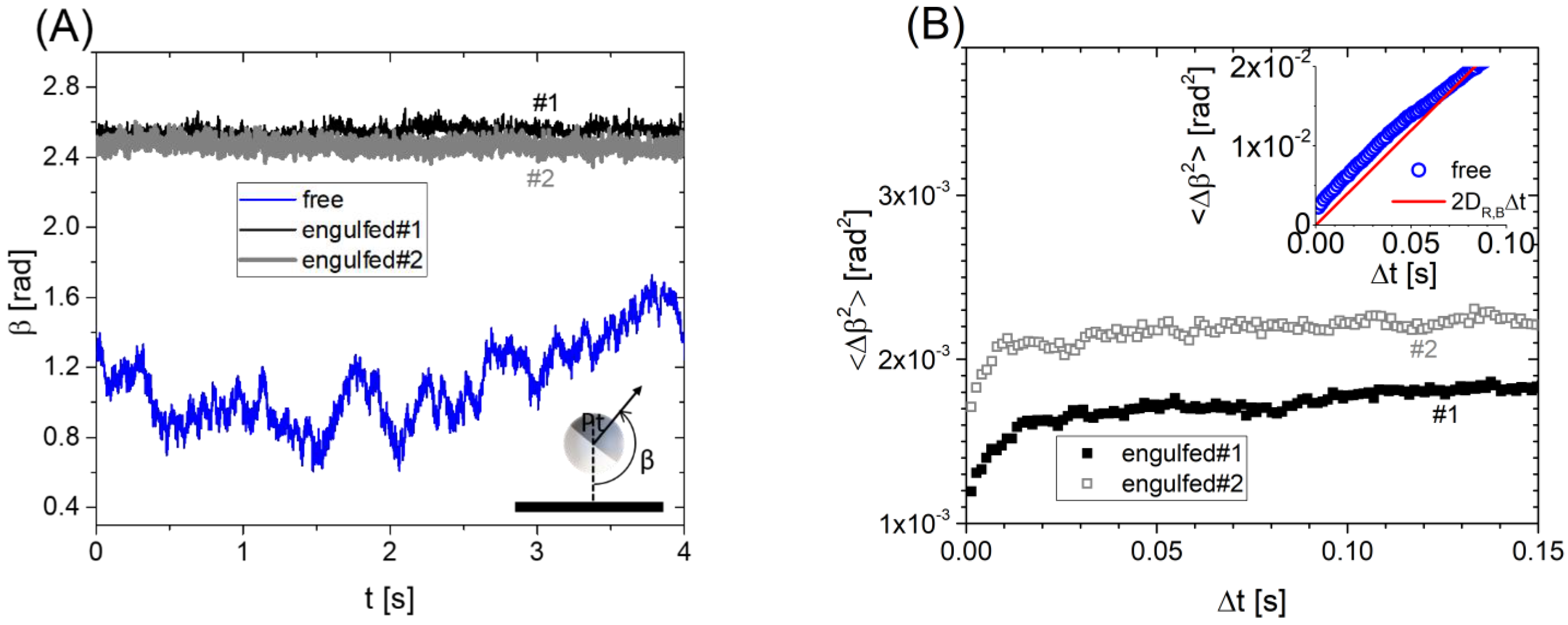 Nanomaterials 12 01434 g006