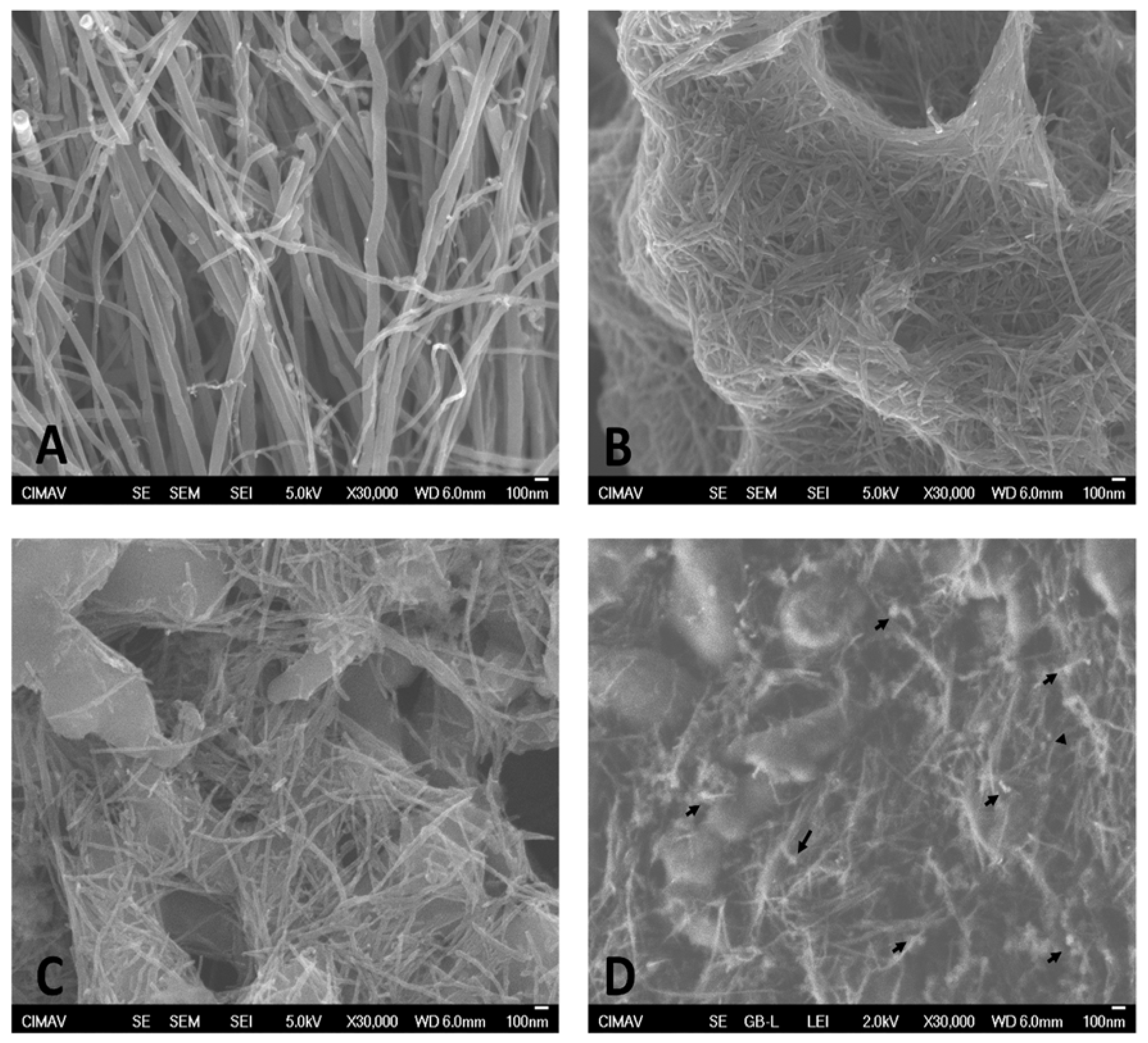 Nanomaterials 12 01465 g002