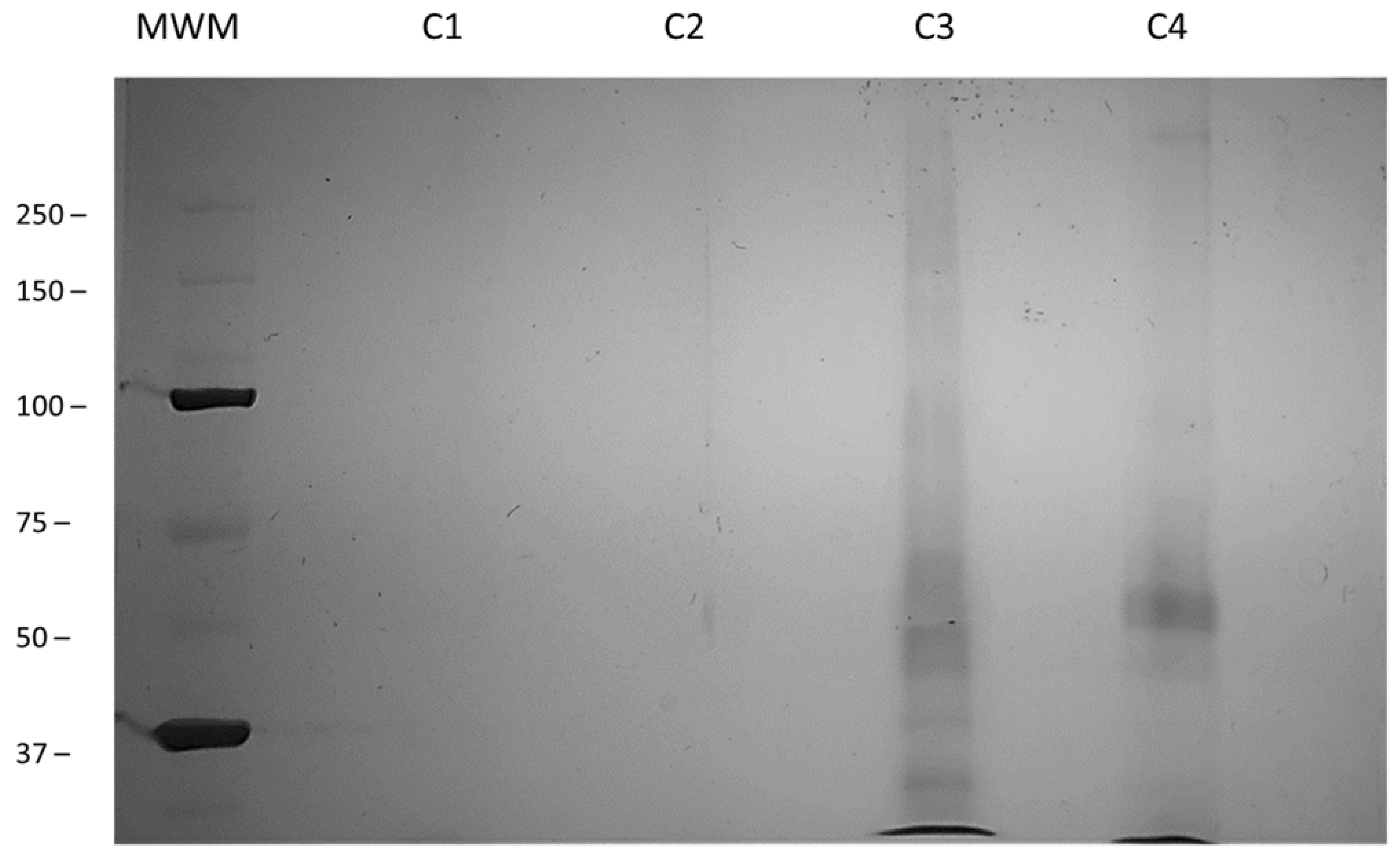 Nanomaterials 12 01465 g006