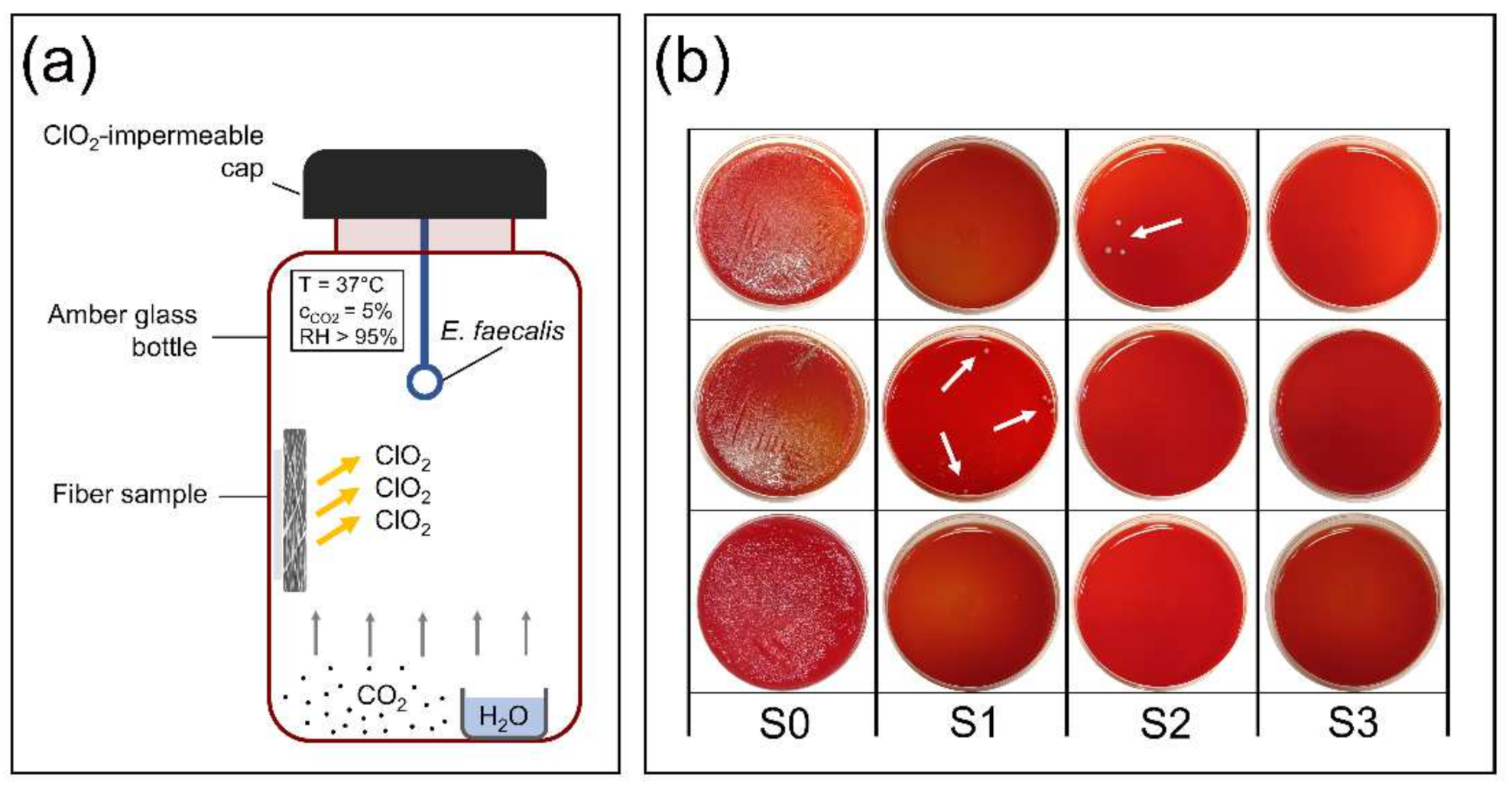 Nanomaterials 12 01481 g006