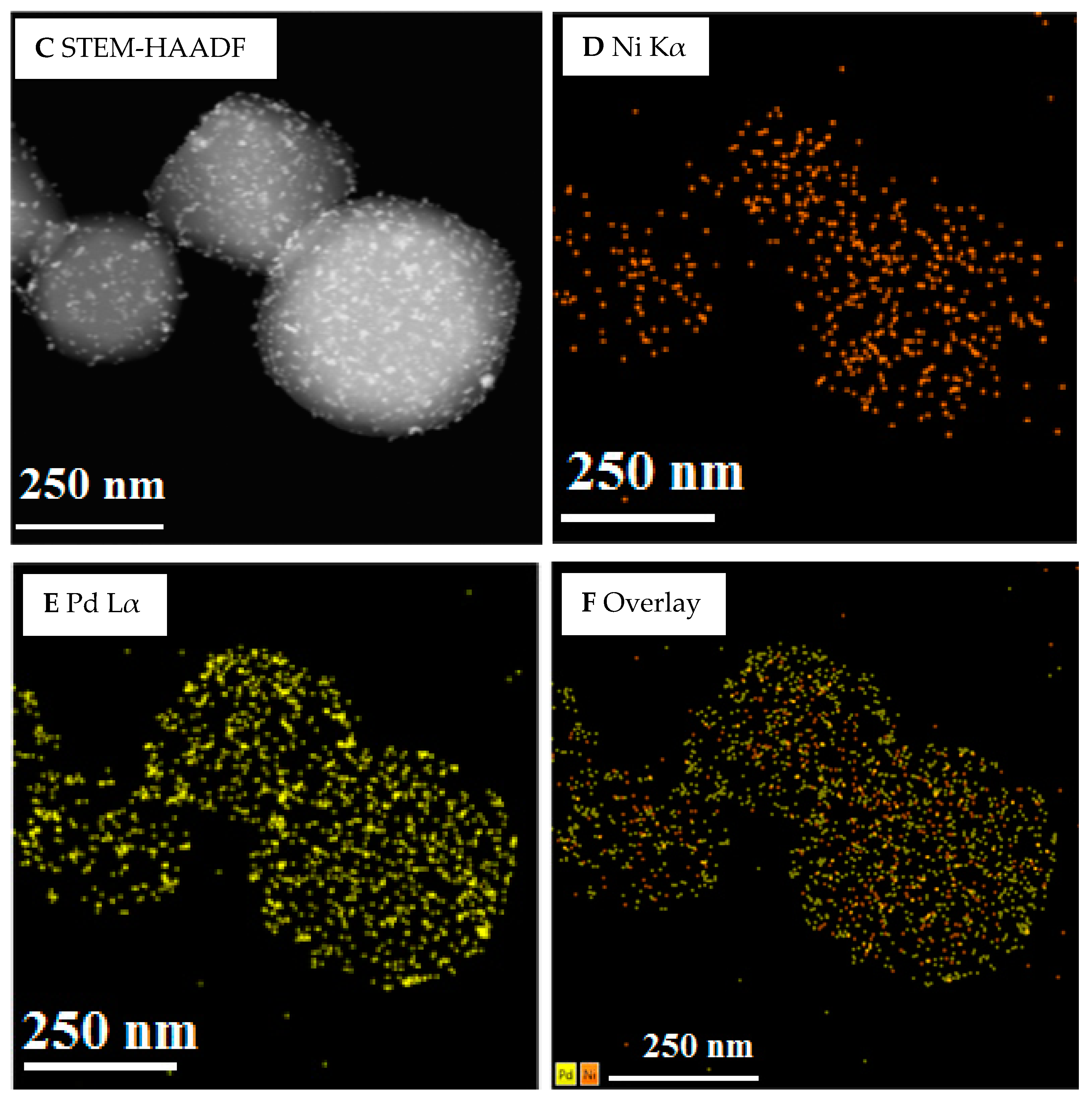 Nanomaterials 12 01484 g002b