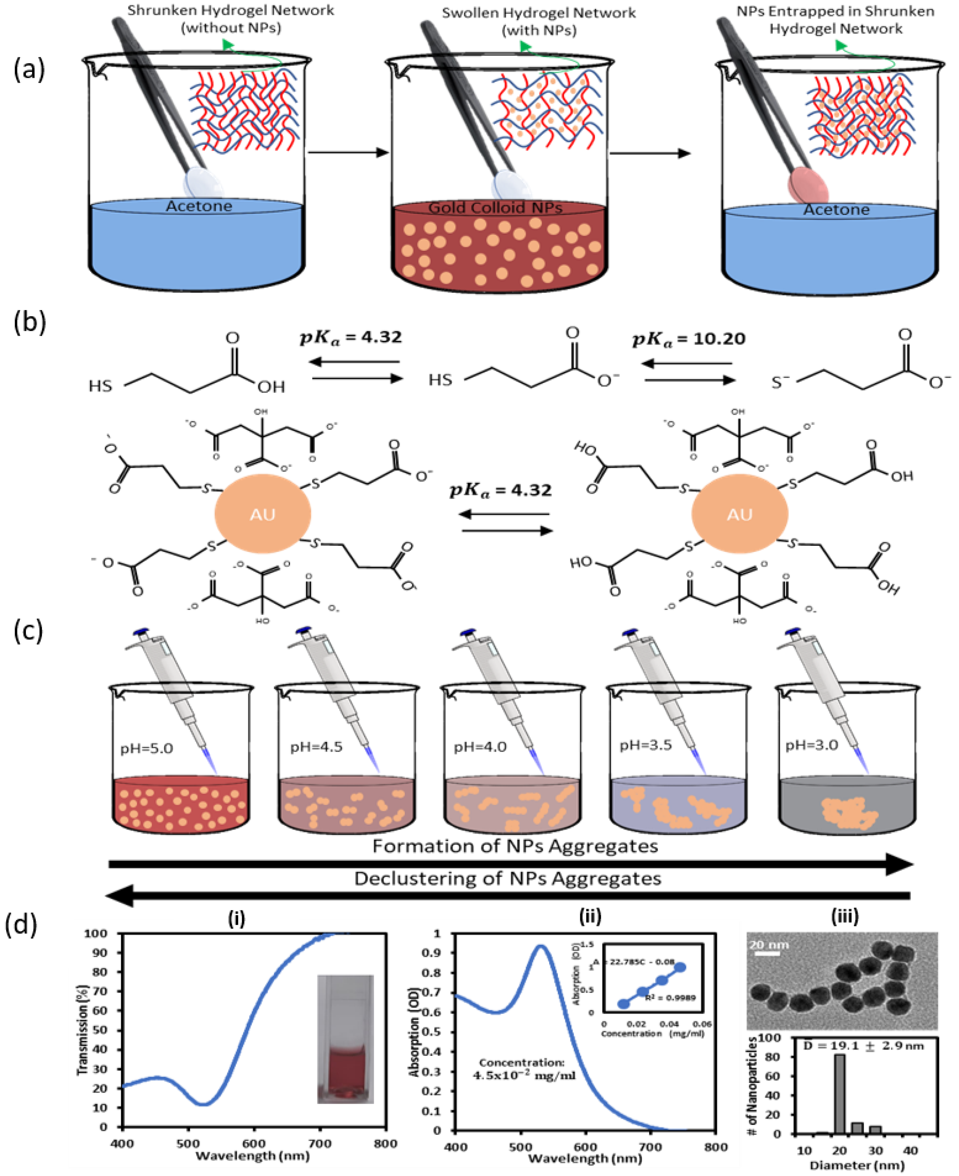 Nanomaterials 12 01486 g001
