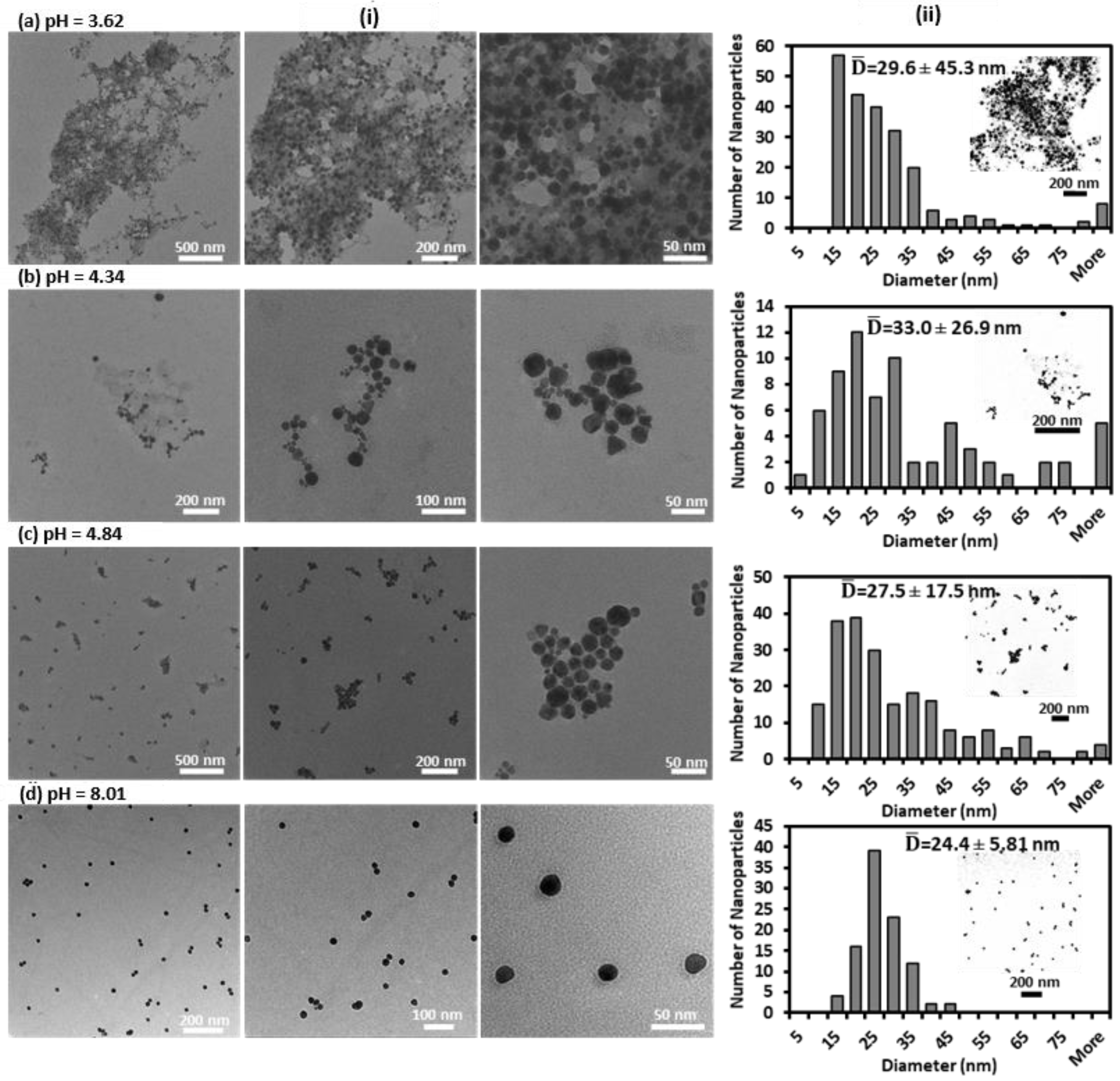 Nanomaterials 12 01486 g003