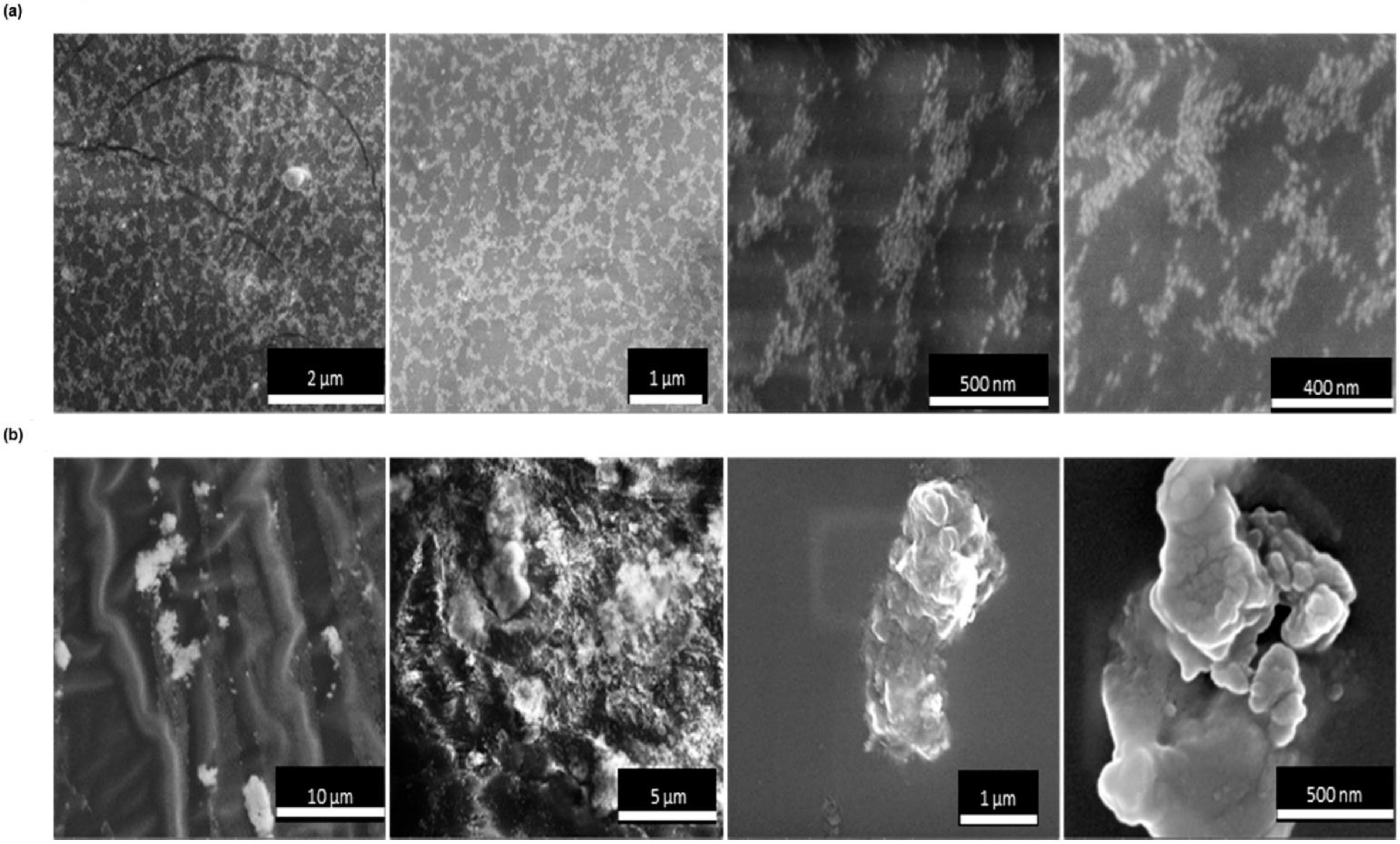Nanomaterials 12 01486 g008