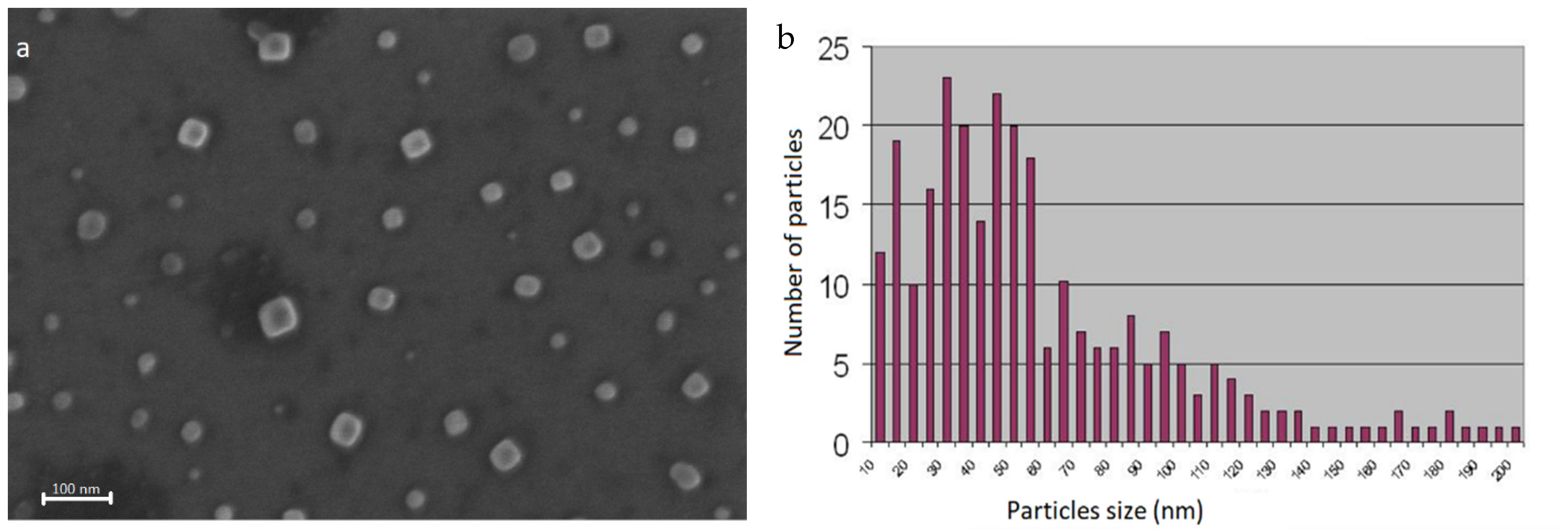Nanomaterials 12 01488 g004