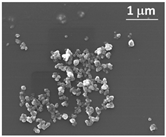 Nanomaterials 12 01491 i003