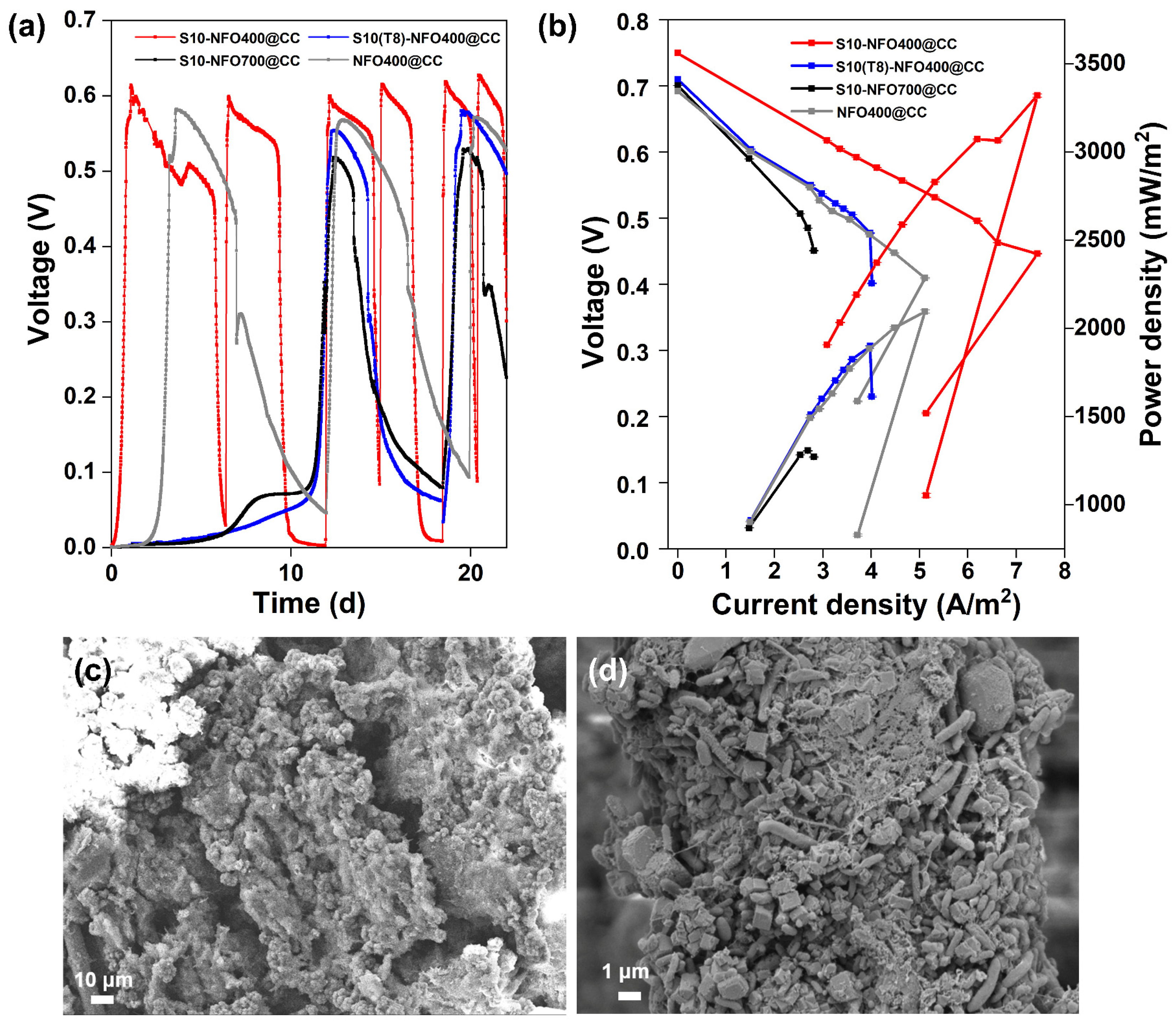 Nanomaterials 12 01496 g003