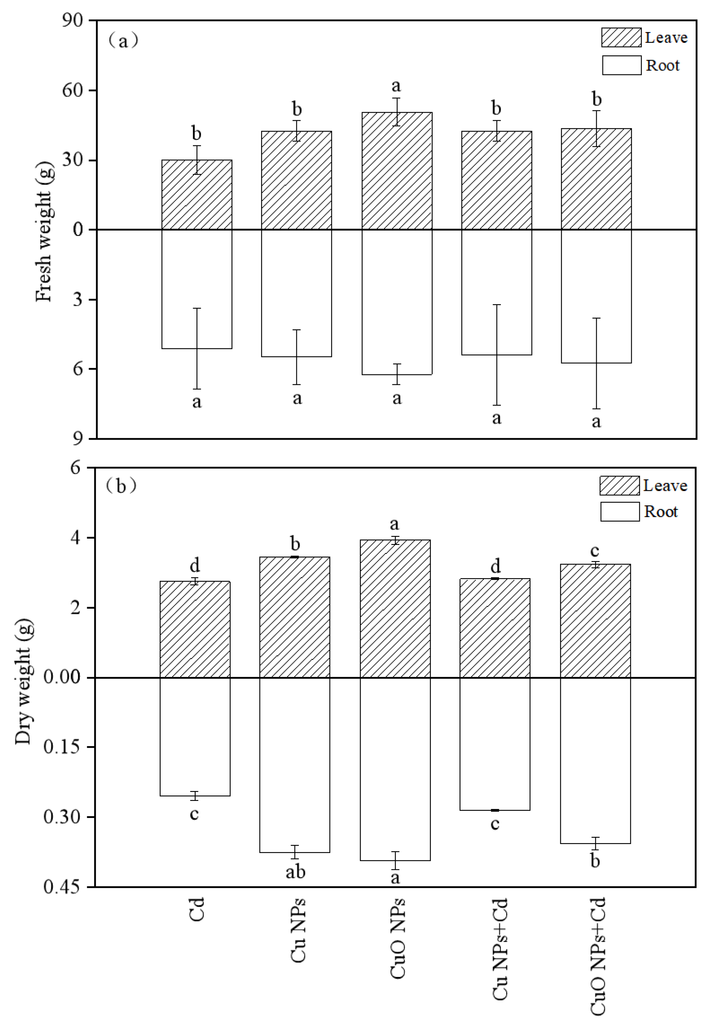 Nanomaterials 12 01497 g001