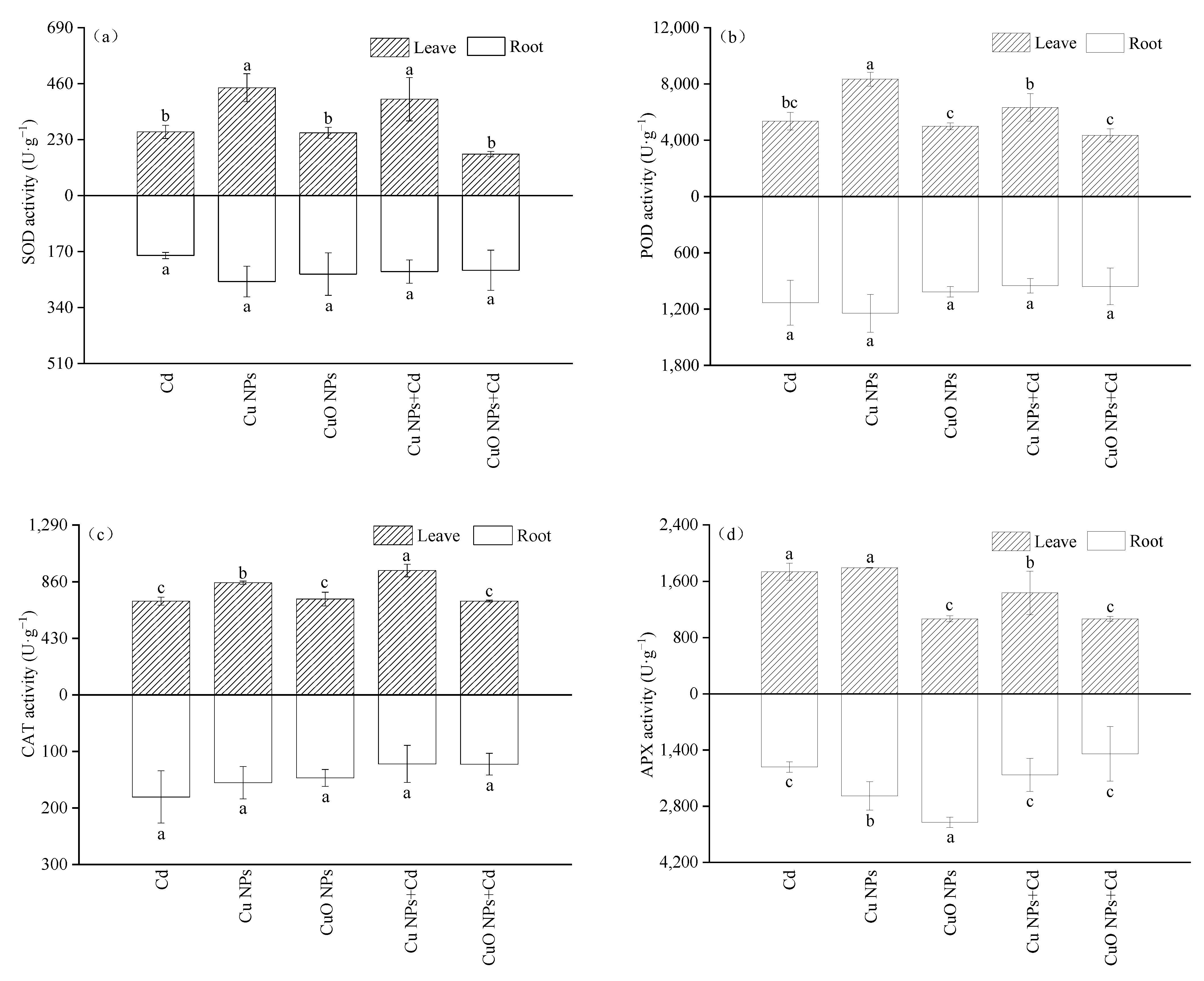 Nanomaterials 12 01497 g002