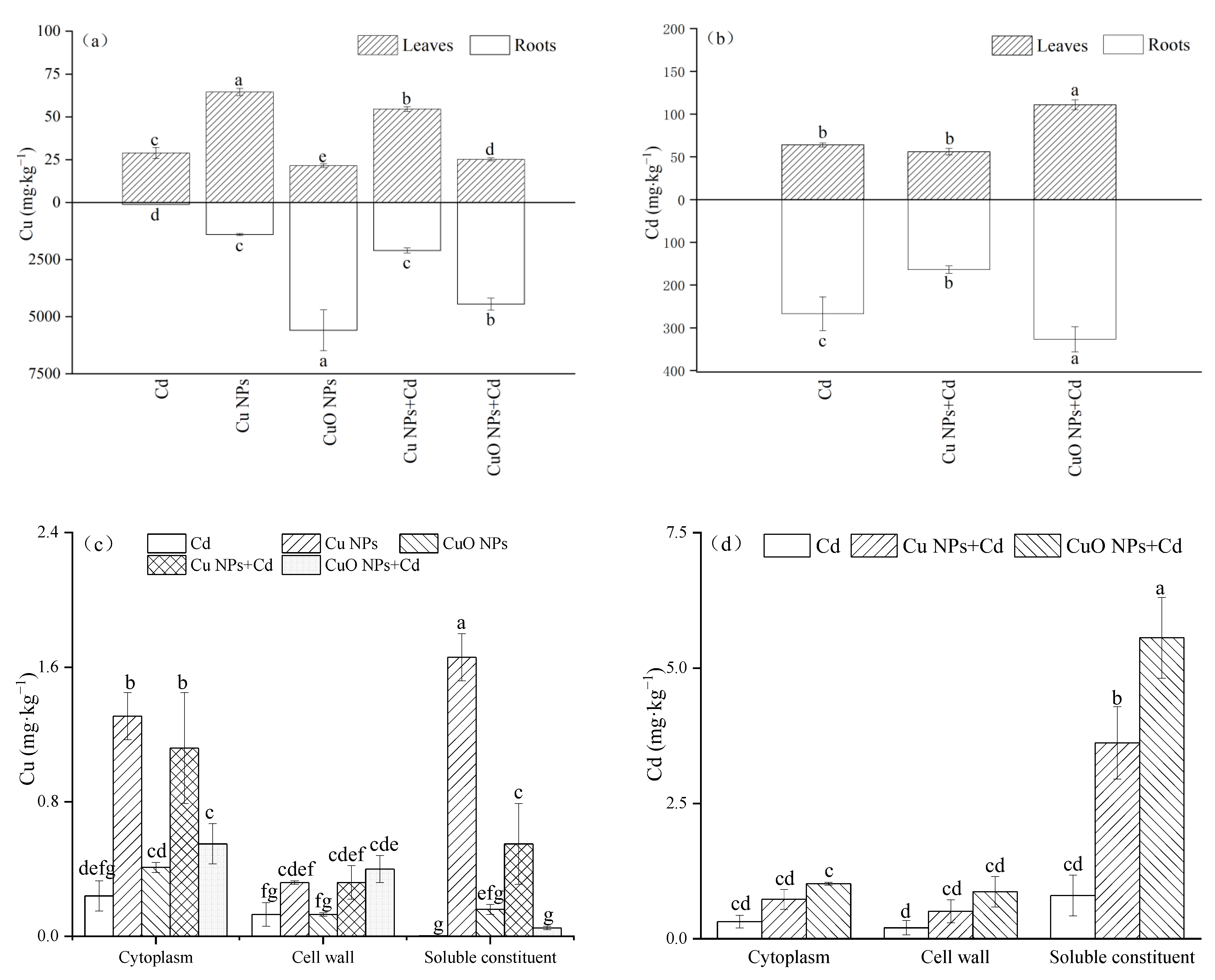 Nanomaterials 12 01497 g003